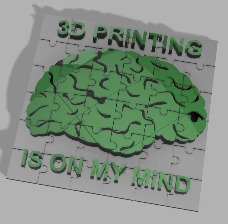 Brain Puzzle 3d model