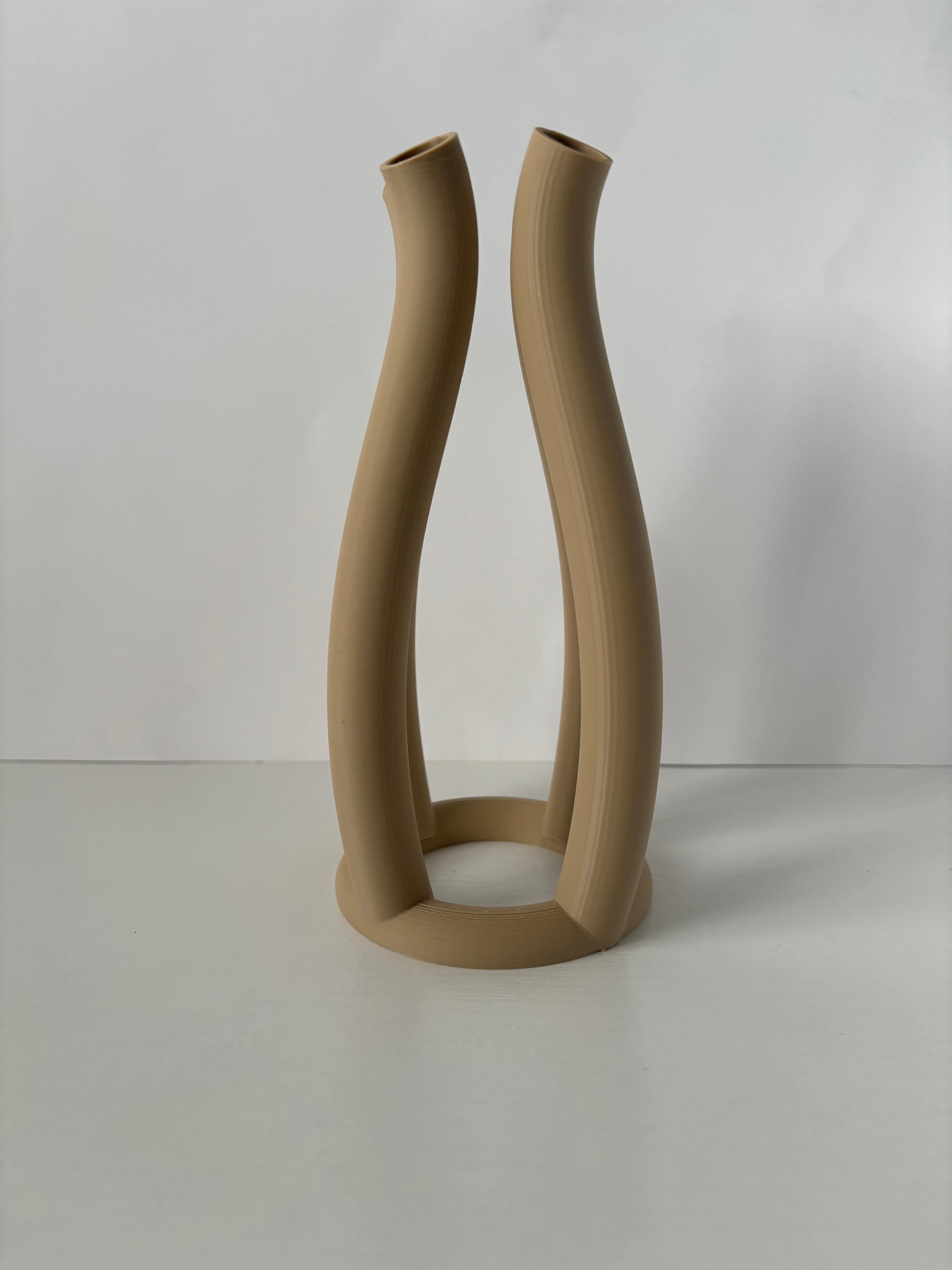 Dimensional Vase 3d model