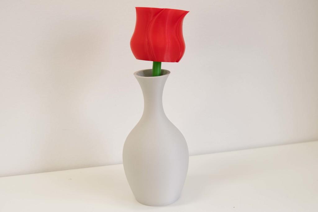 Spiral Vase Rose With modular Stem 3d model