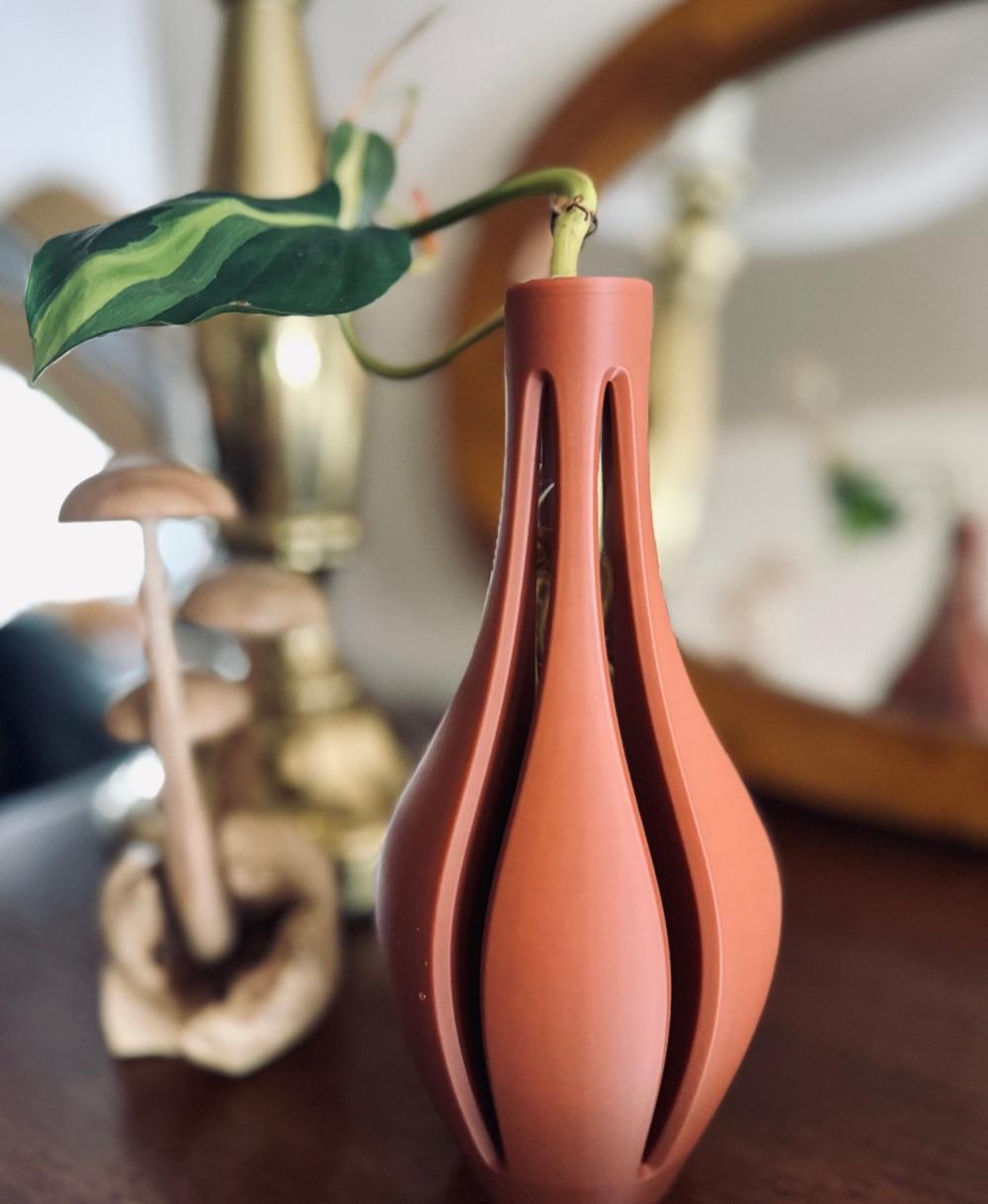 Propagation Vase - Such a fun design! Thank you!  - 3d model
