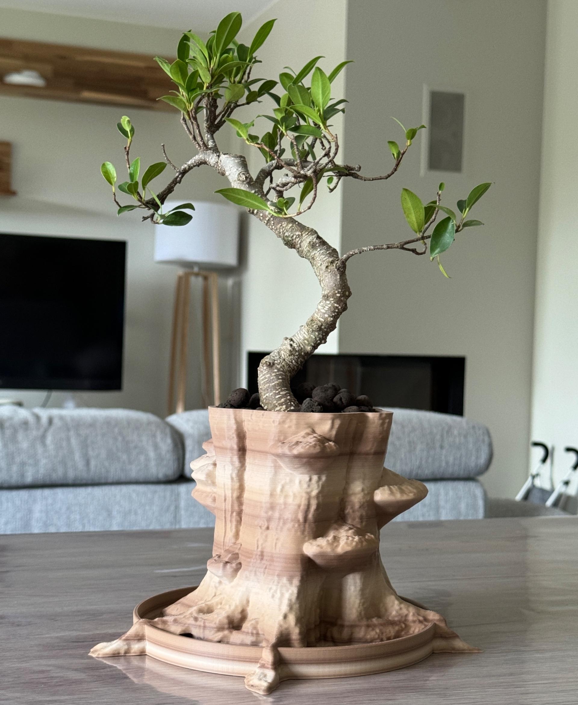 Planter “Sylvatica Tree” - Incredible planter with wood like filament for a Bonsai - 3d model