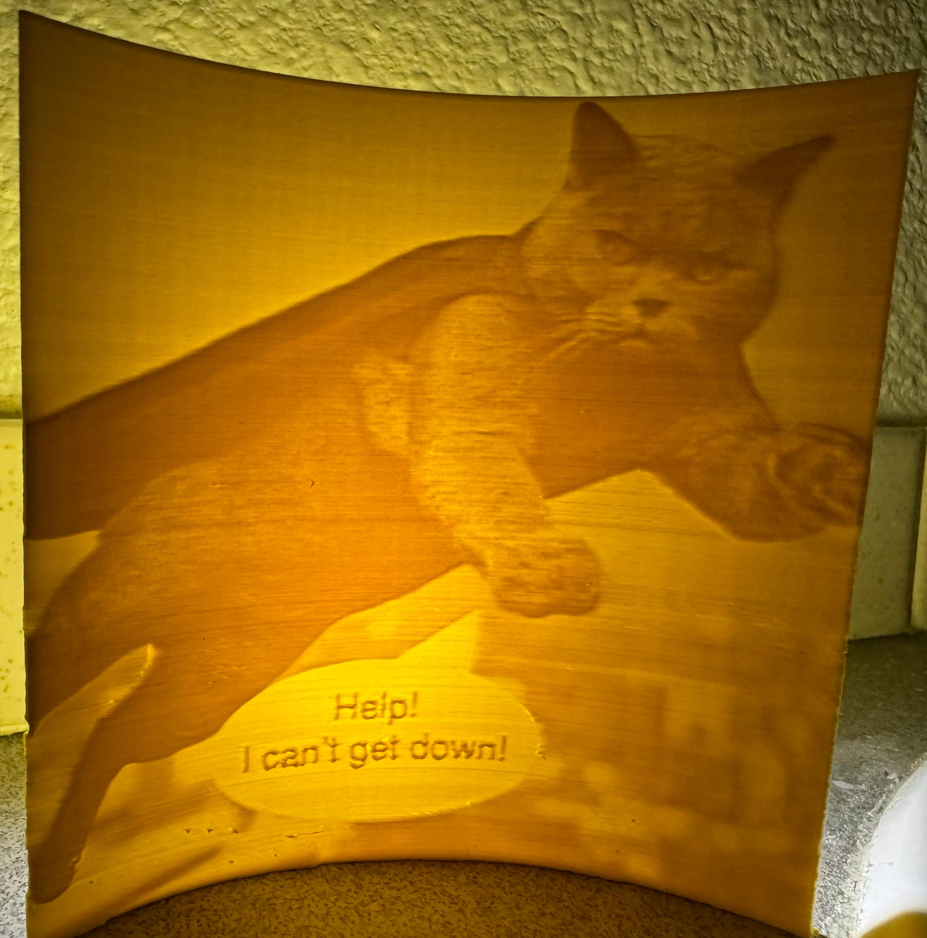 Lithophane of a Flying Cat Who Can Talk 3d model