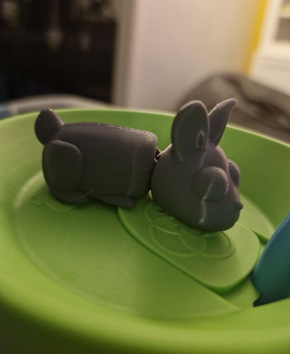 Cute Flexi Easter Bunny 3d model