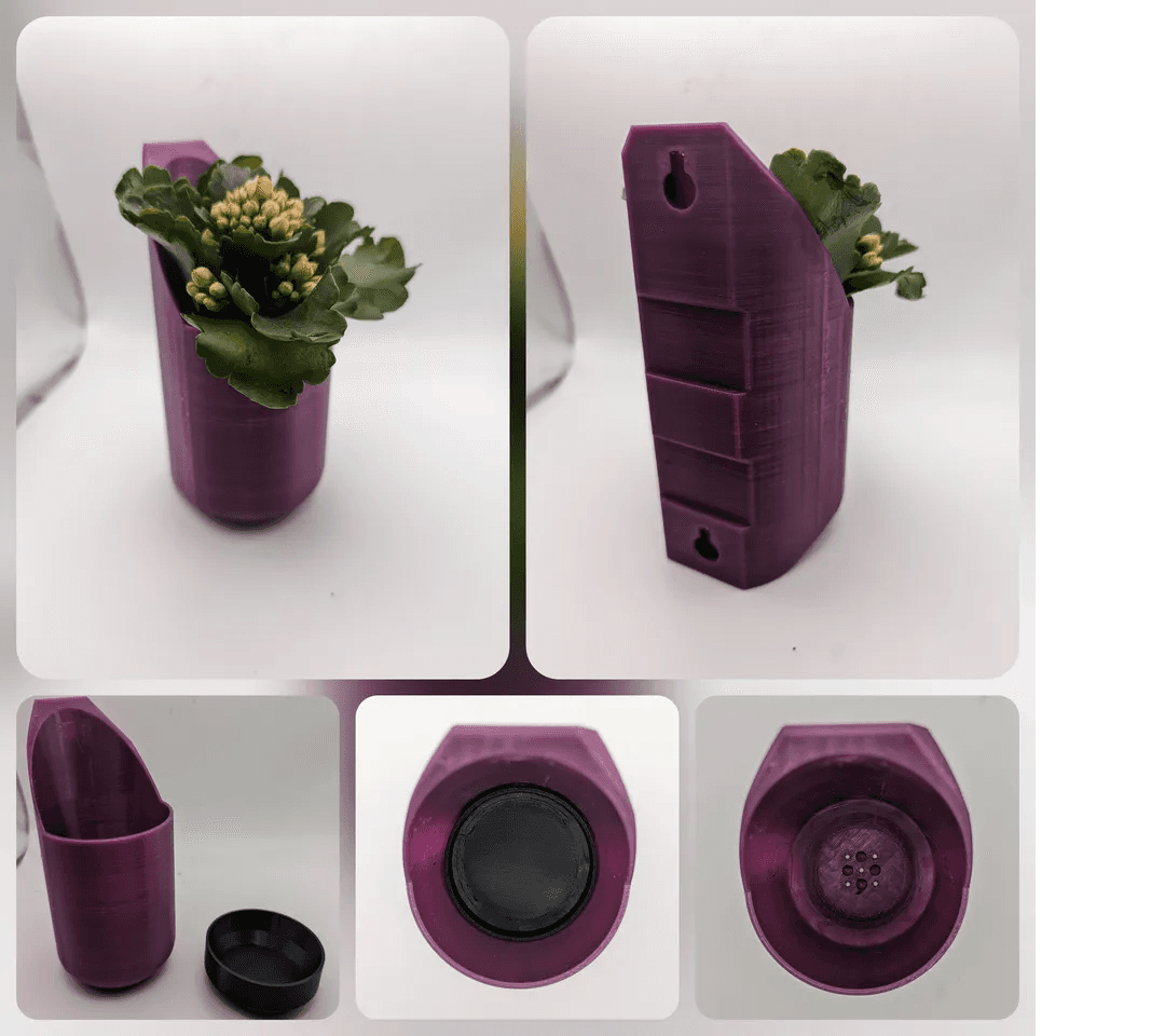 Wall Planters - Succulents  3d model