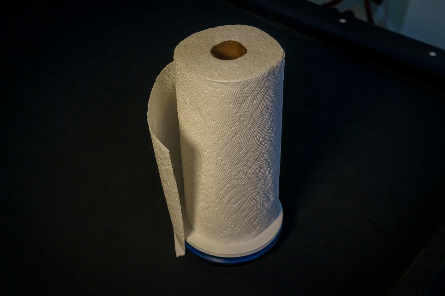 The "Because Why Not" Paper Towel Holder 3d model