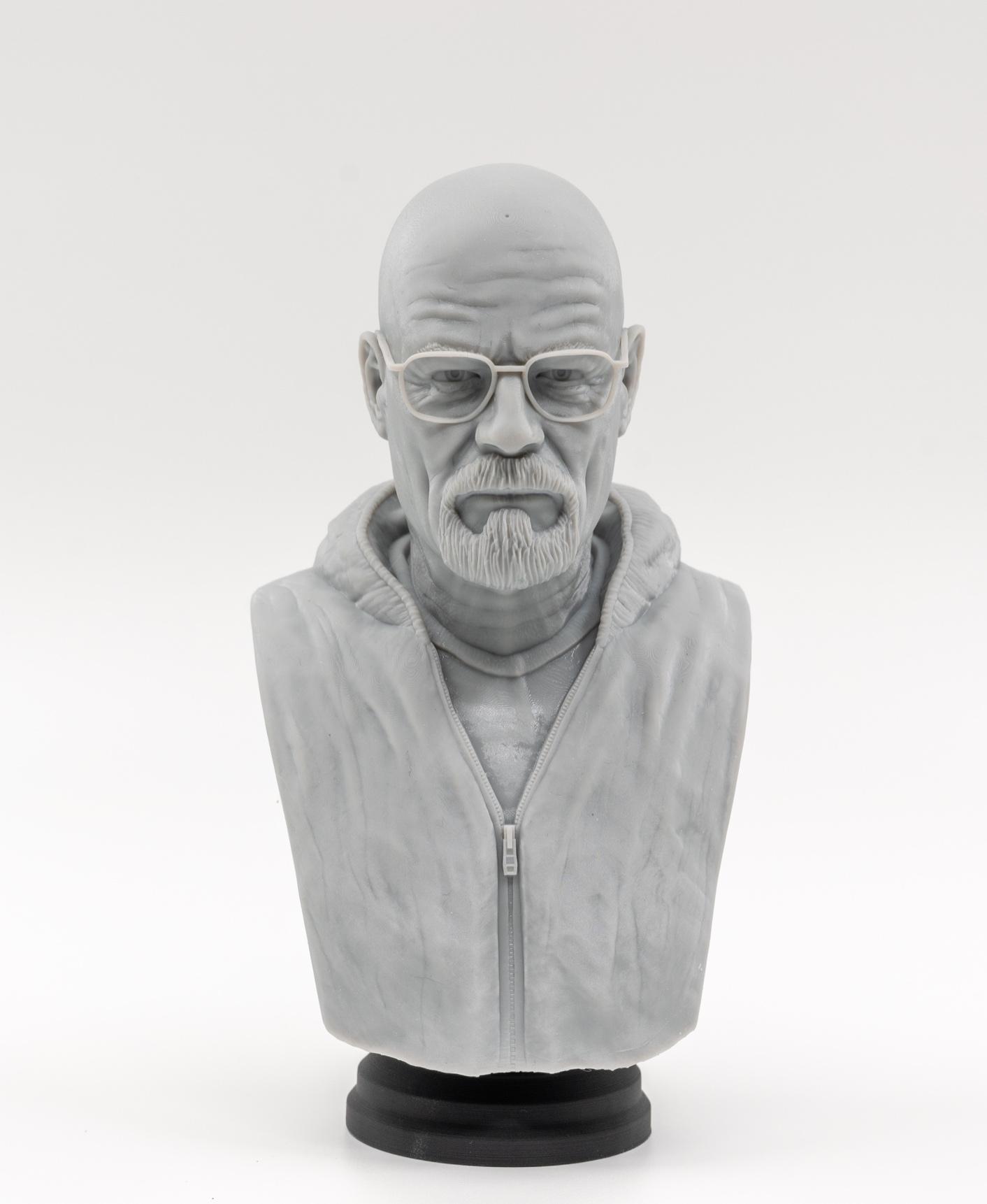 Walter White Bust  3d model