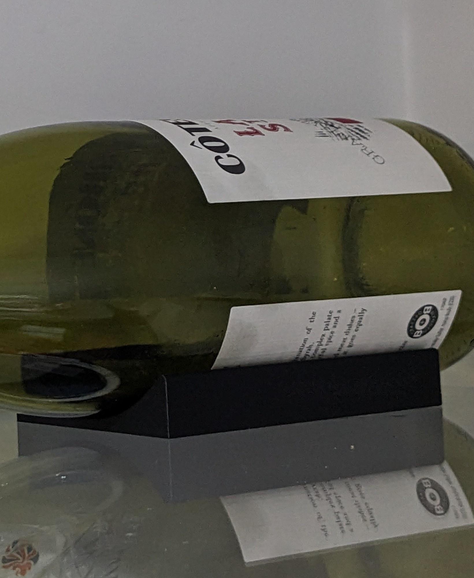Fridge Bottle Holder - fridge wine bottle holder - 3d model