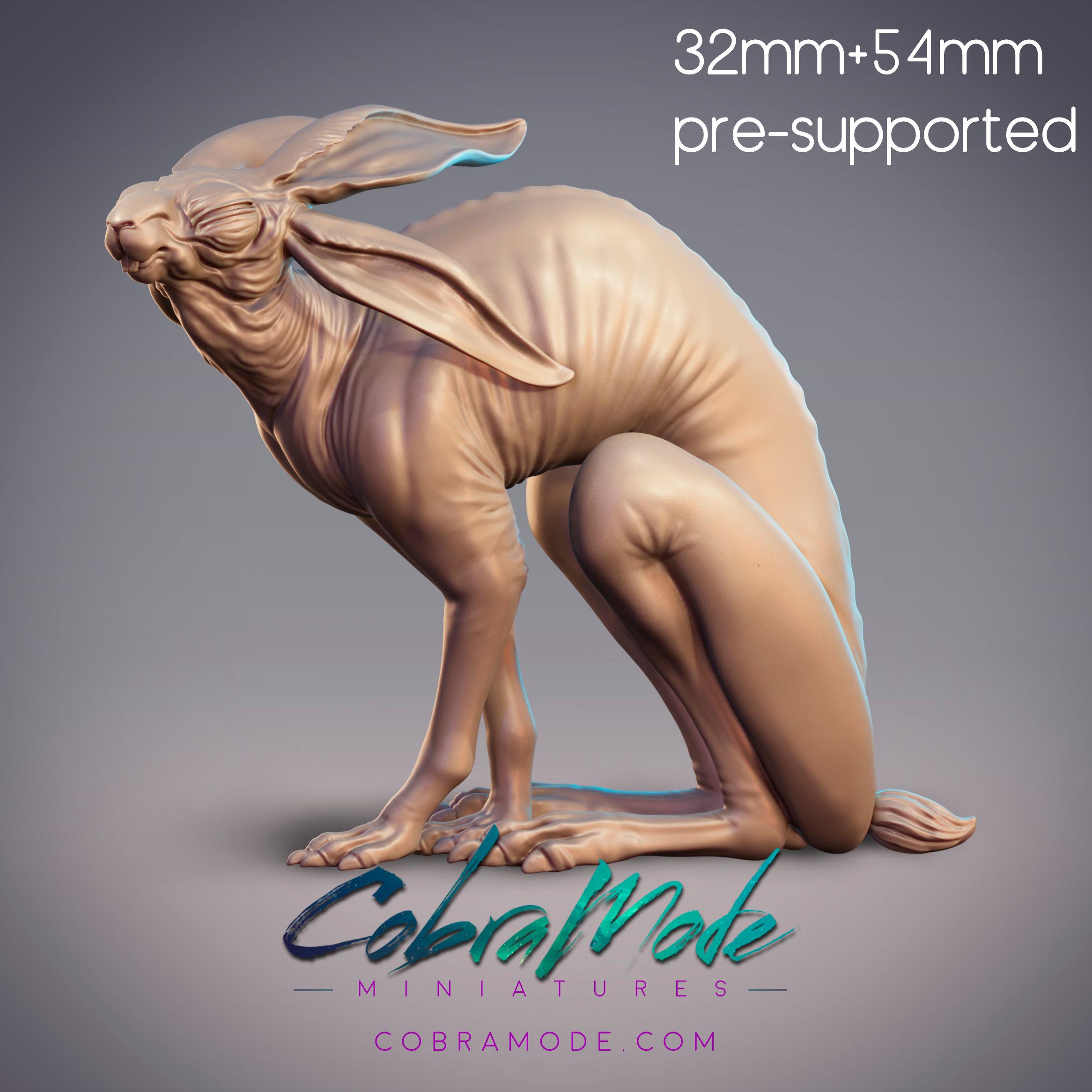 Hairless Rabbit Creature  3d model