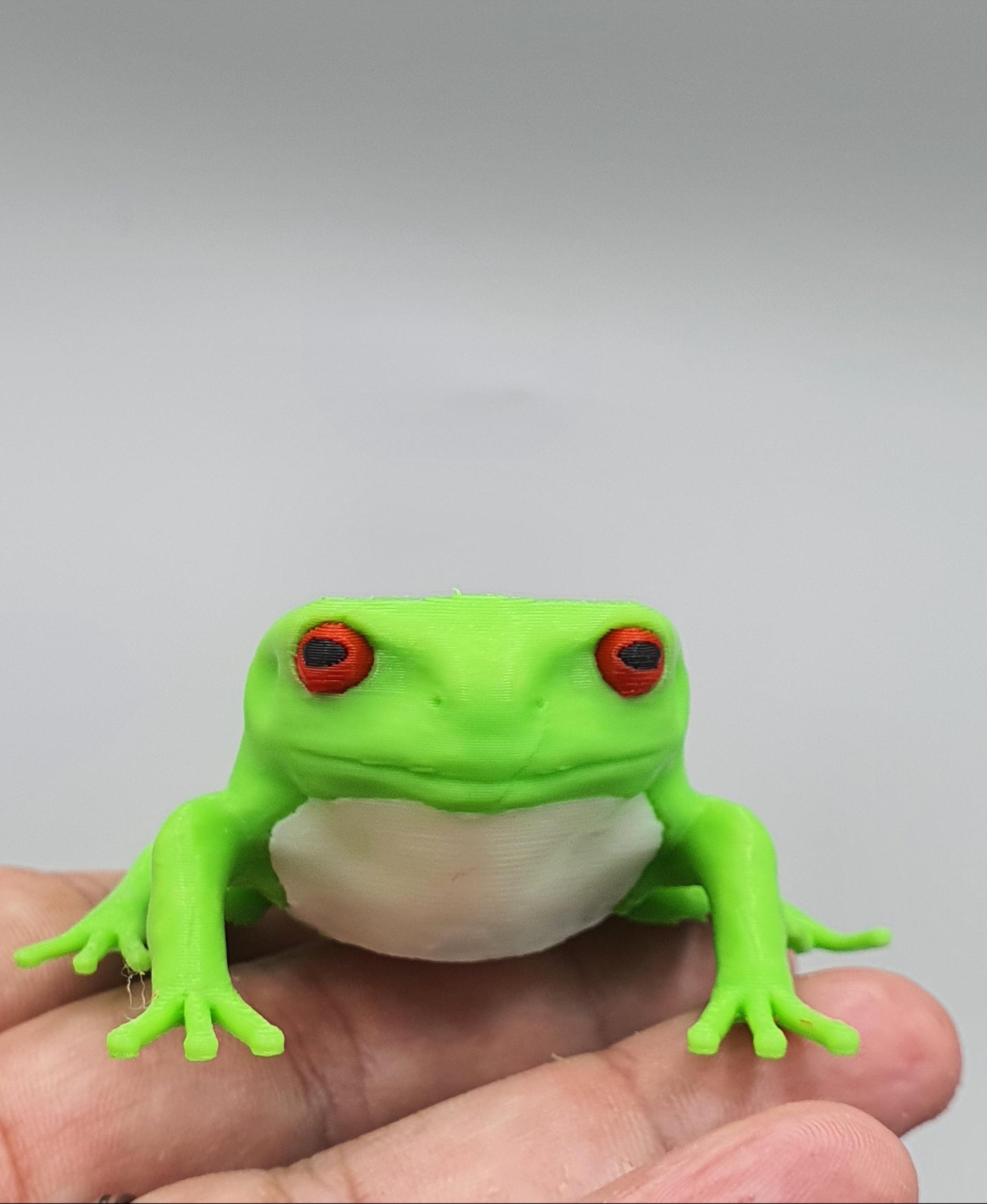 Green tree frog HD - Painted with bambu studios  - 3d model