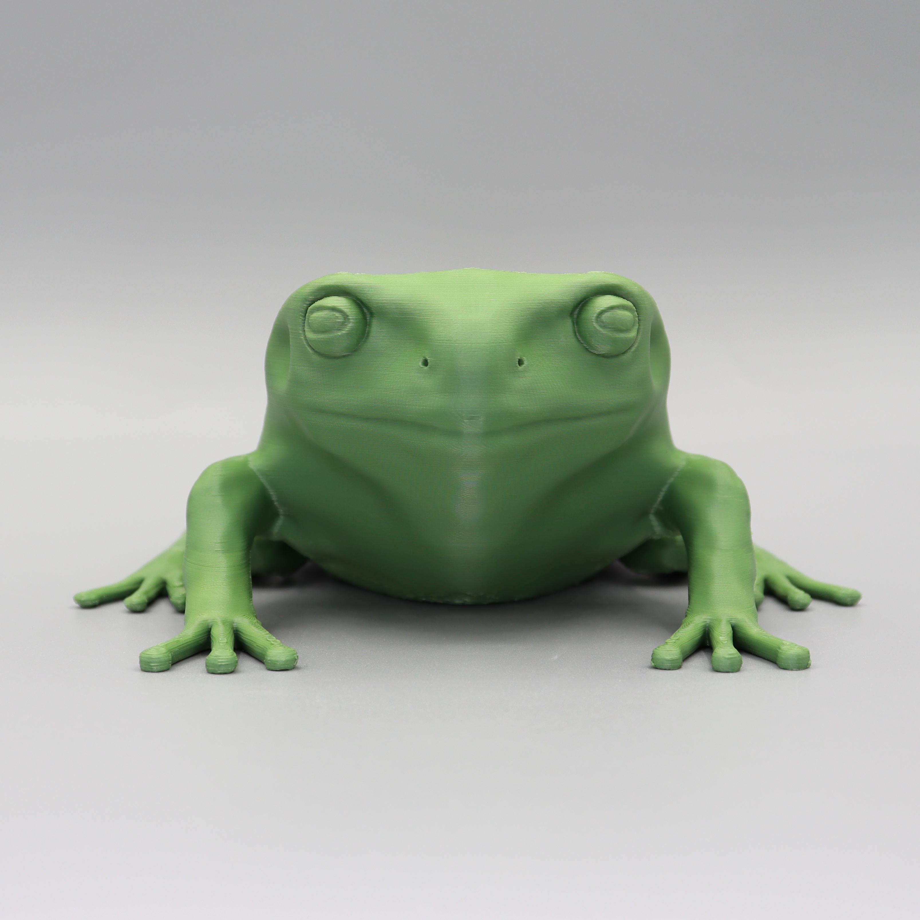 Green tree frog HD 3d model