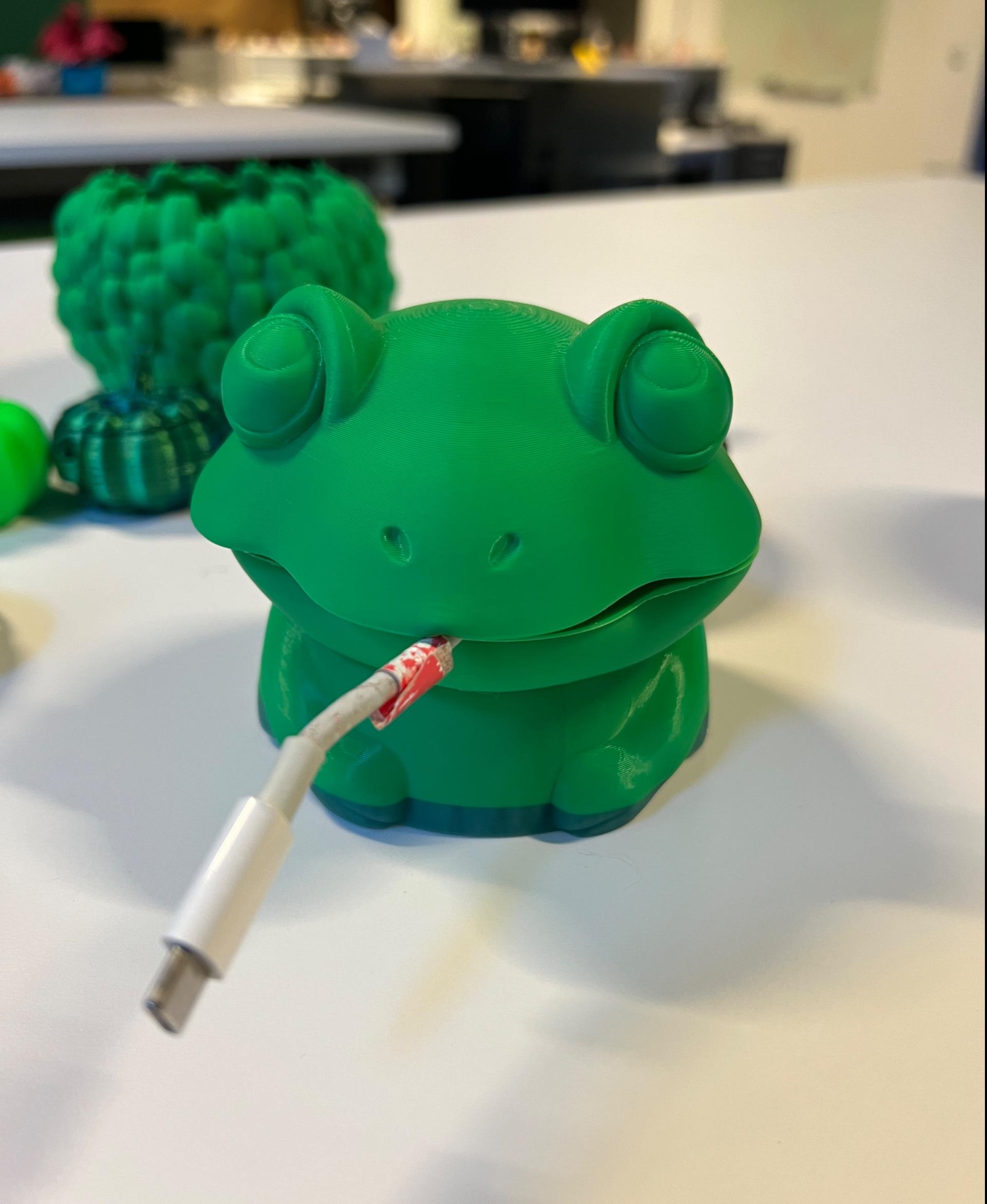 Frog Cable Holder - Holoprops - I ran out of filament and then had a tangle in the new roll! Still looks awesome and functional  - 3d model
