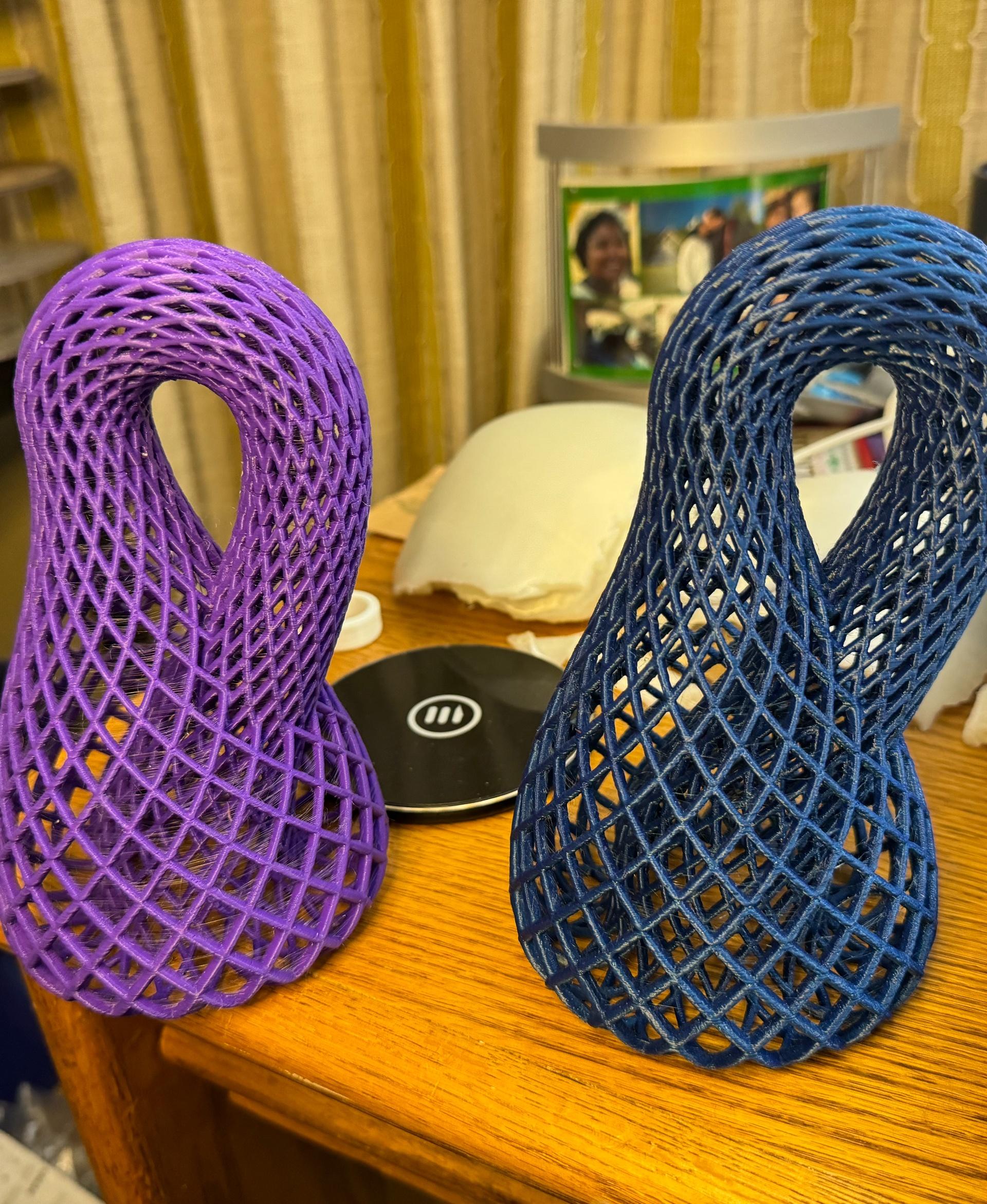 Klein Bottle Diamond Lattice - One in purple, one in blue.  Used a raft to help adhesion - 3d model