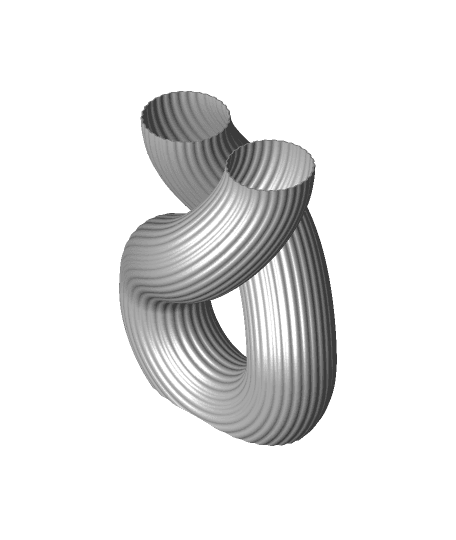 The Infinity Vase 3d model