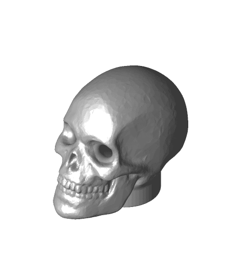 Skull Ketchup Cap 3d model