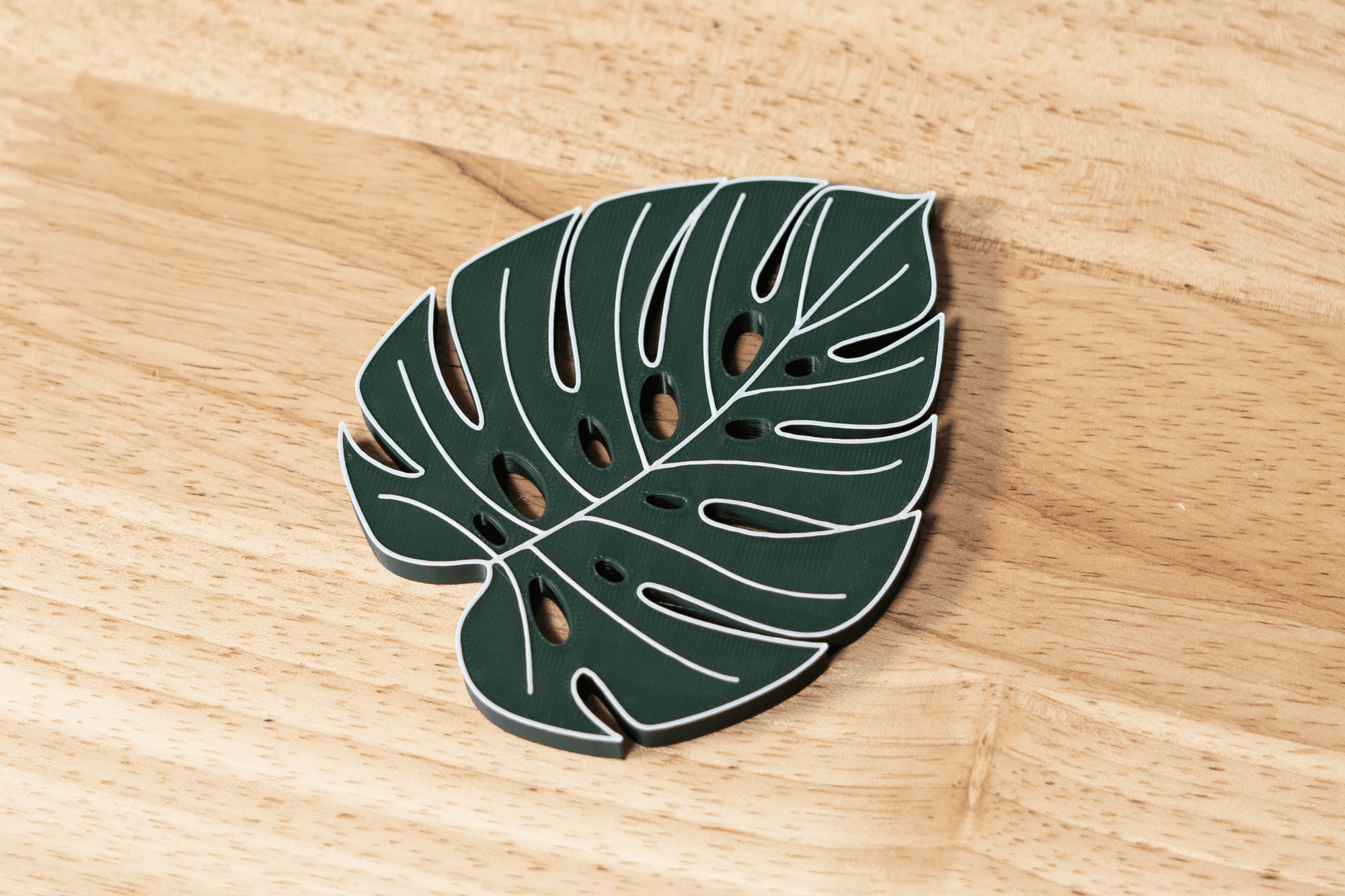Monstera Leaf Magnet 3d model
