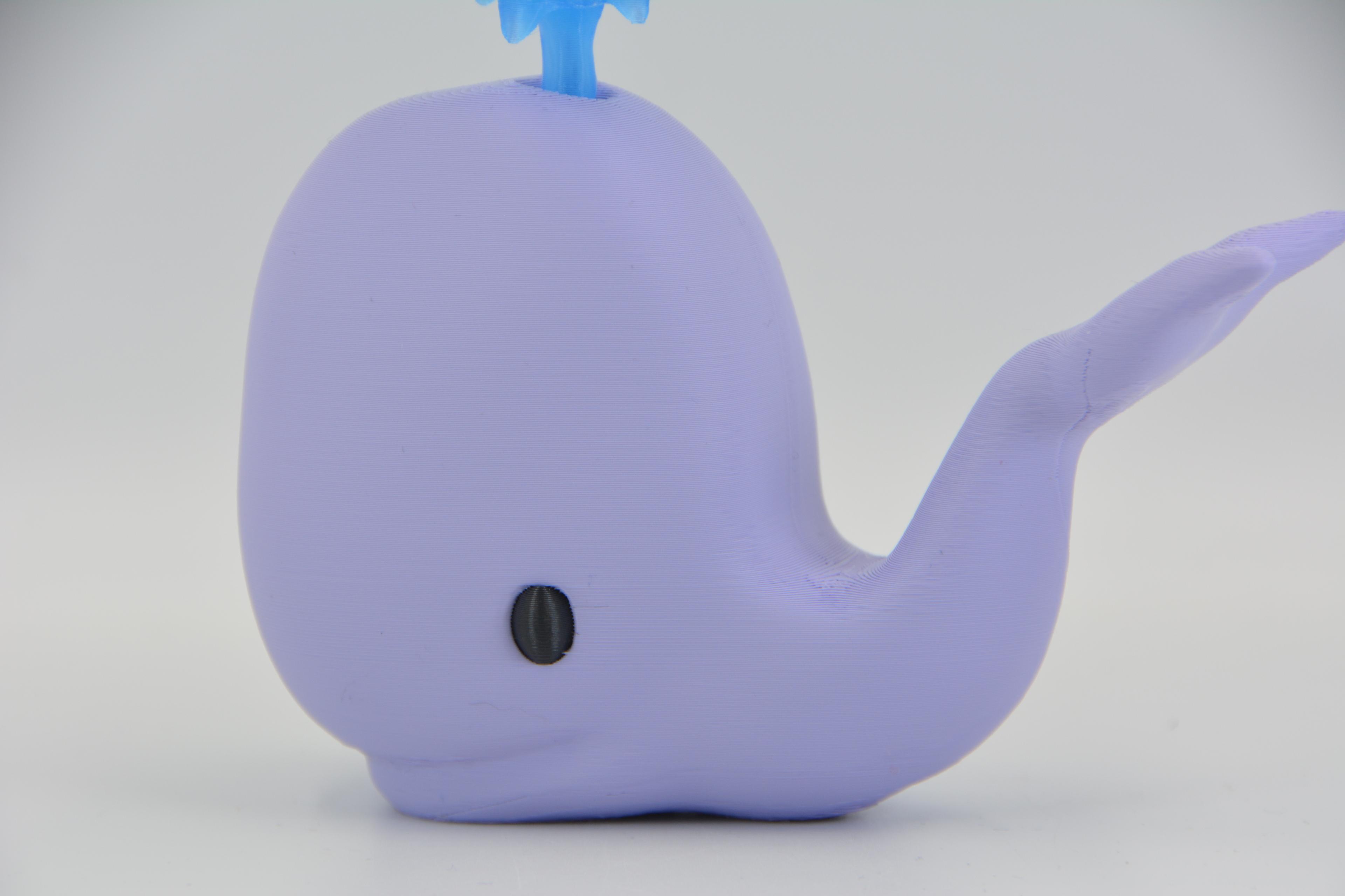 Whally the Whale 🐳 3d model