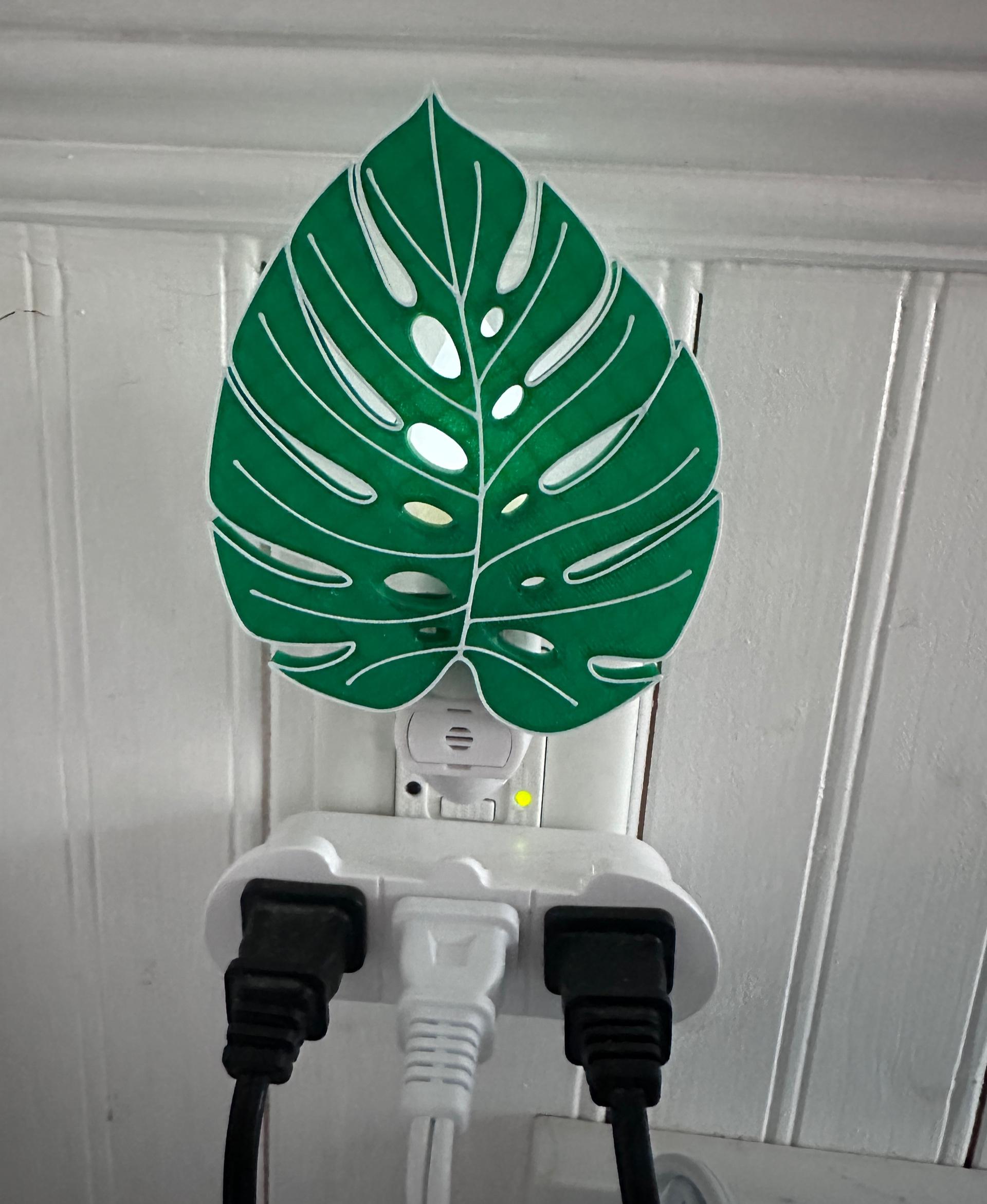 Monstera Leaf Magnet 3d model