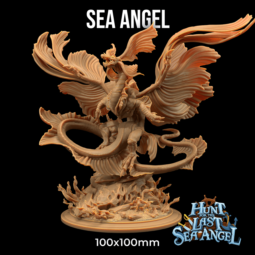 Sea Angel 3d model