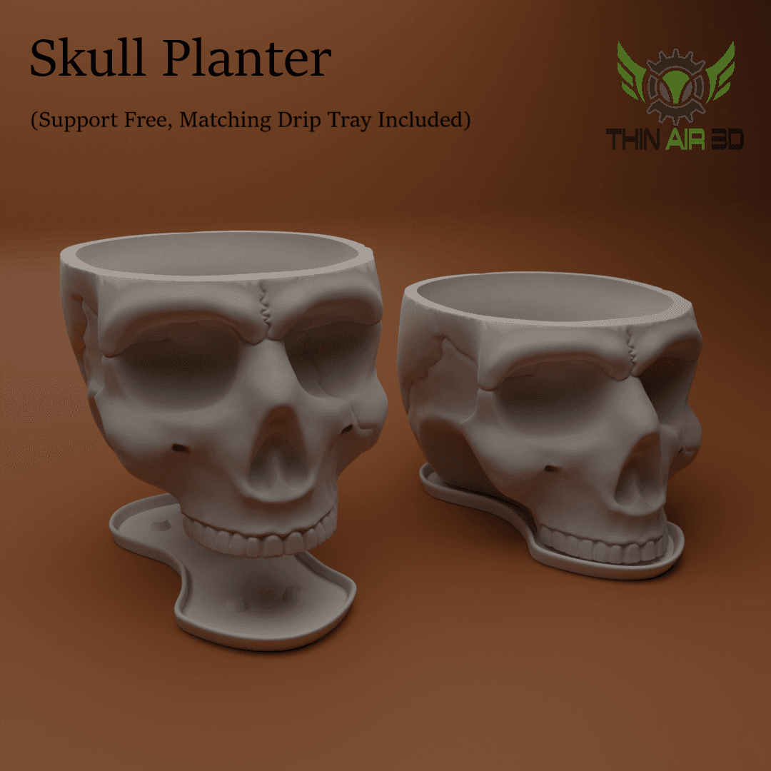 Halloween Skulls/Skull Decor -  Halloween Decor 3d model