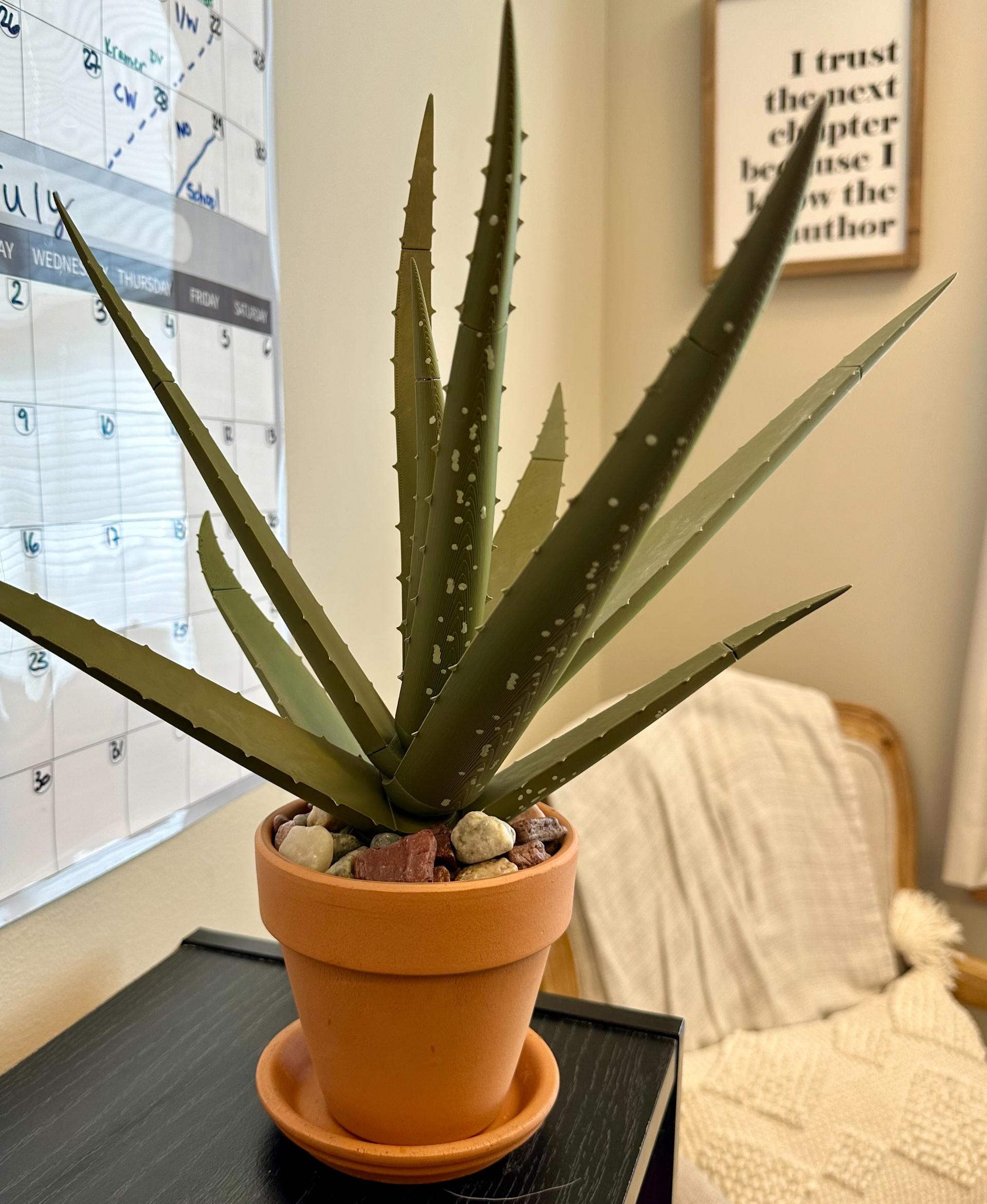 Aloe Vera Pen Plant - Finally got my print finished, it turned out great after I figured out the scaling issue.  - 3d model