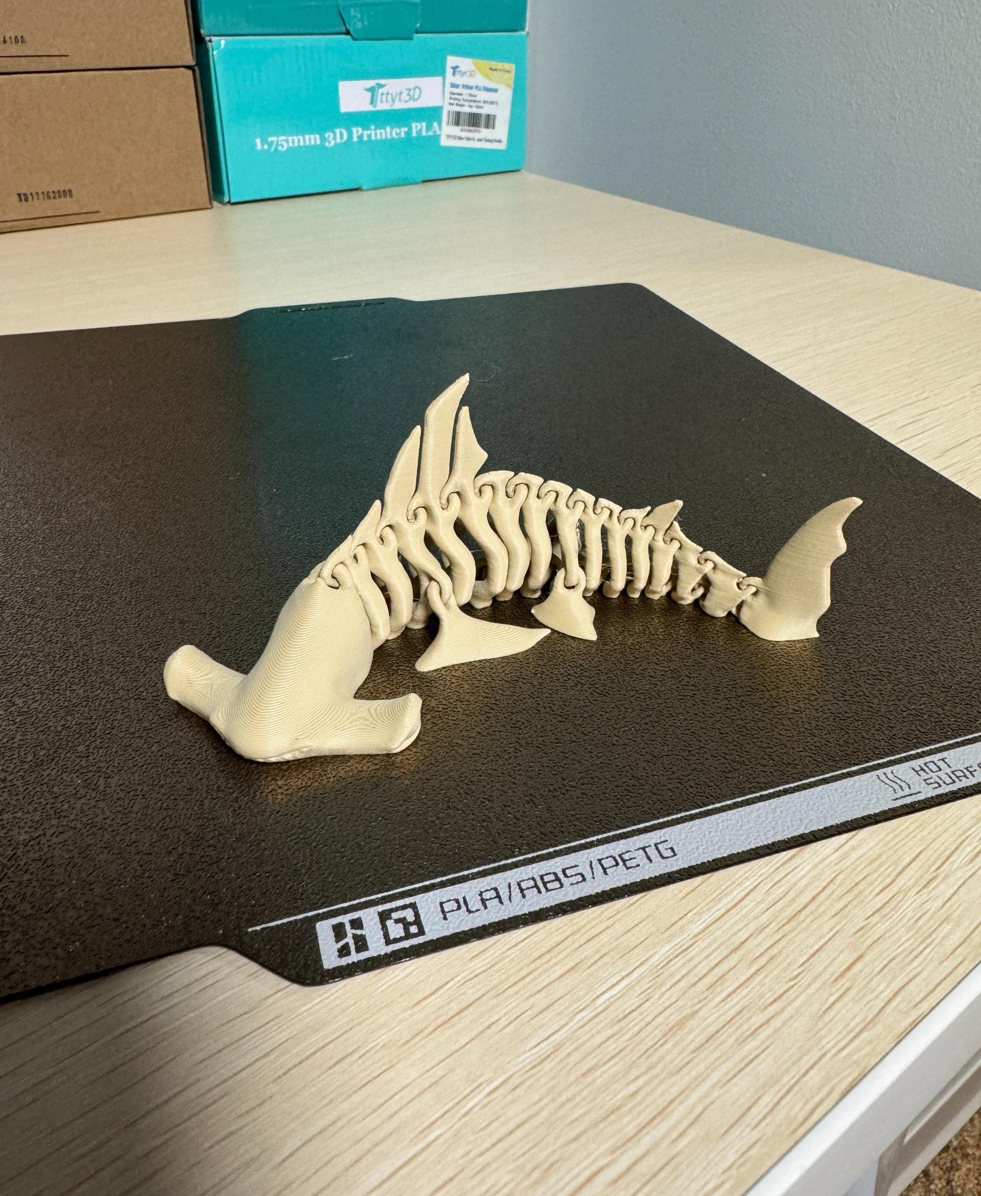 Hammerhead  Shark  Bones - 50% scaled print on Bambu P1S using Bambu Basic PLA - all the bits move as they should - 3d model