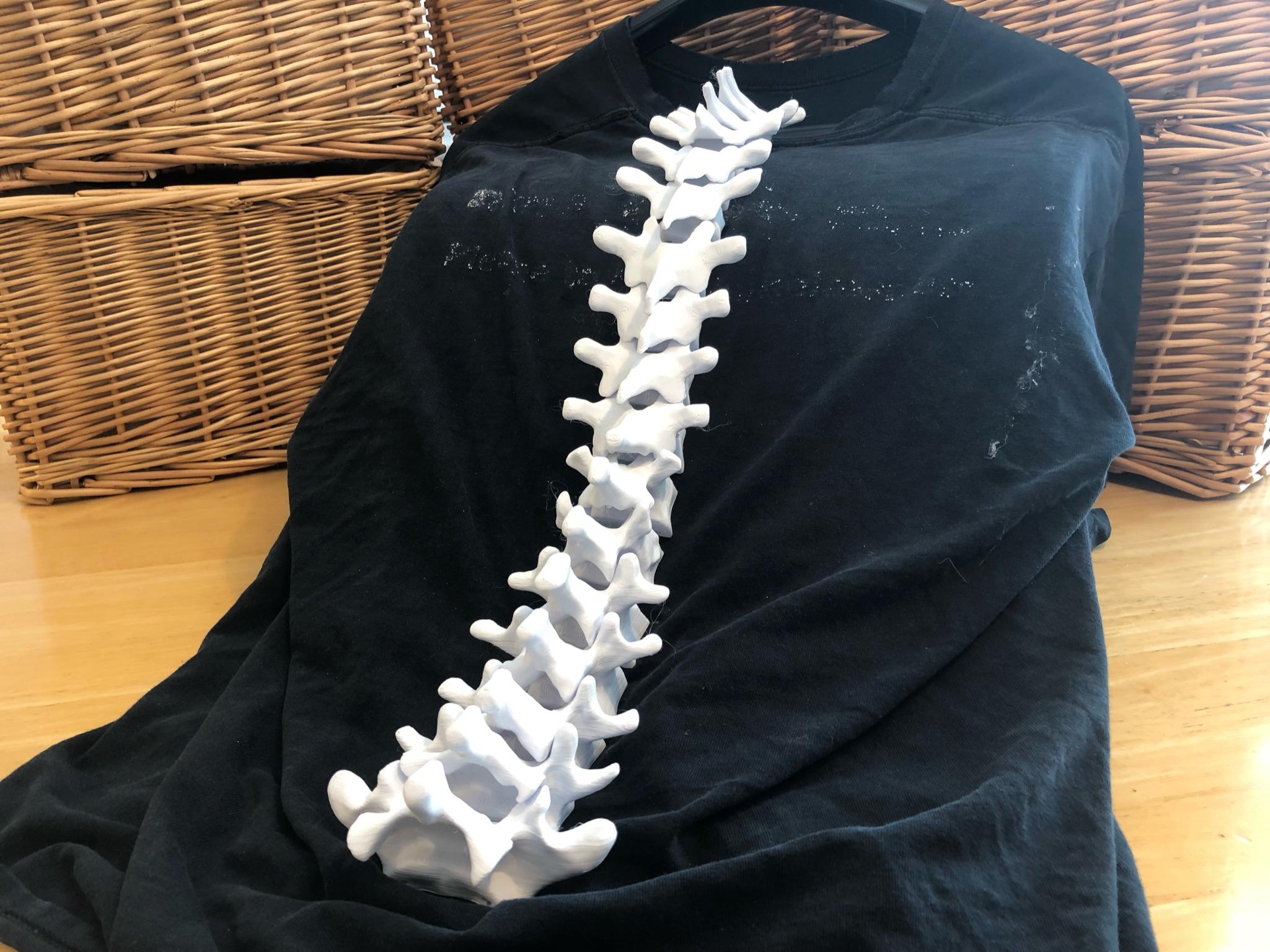 Wearable Spine 3d model