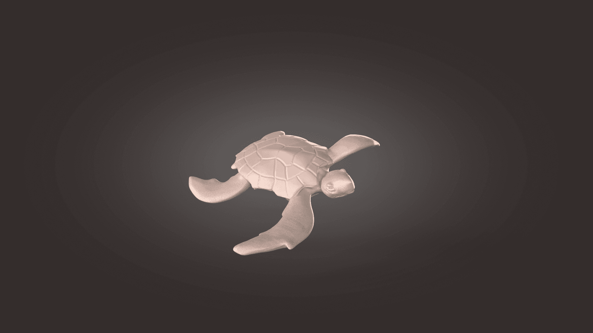 turtle 3d model