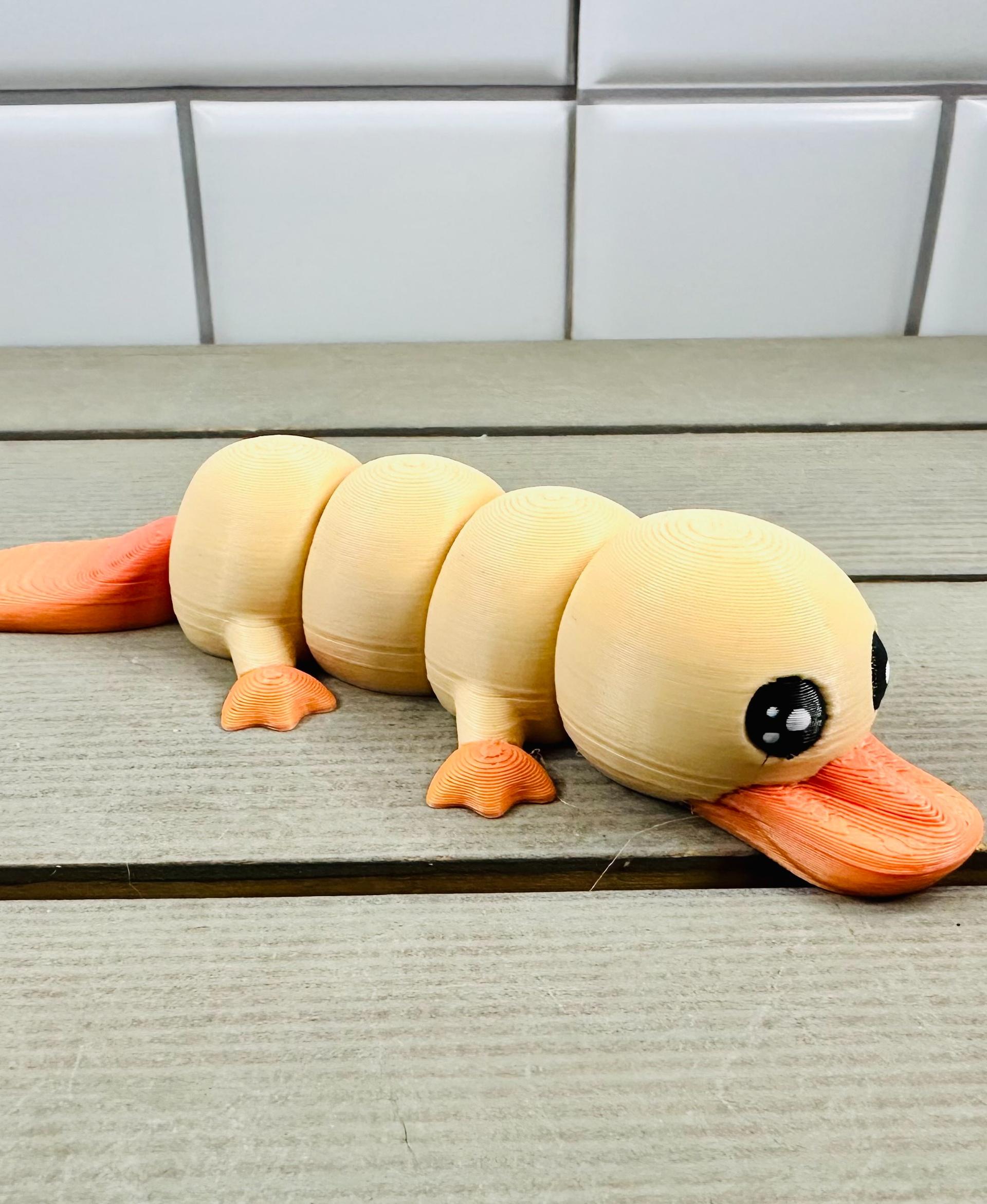 LFC Cute Platypus 3d model