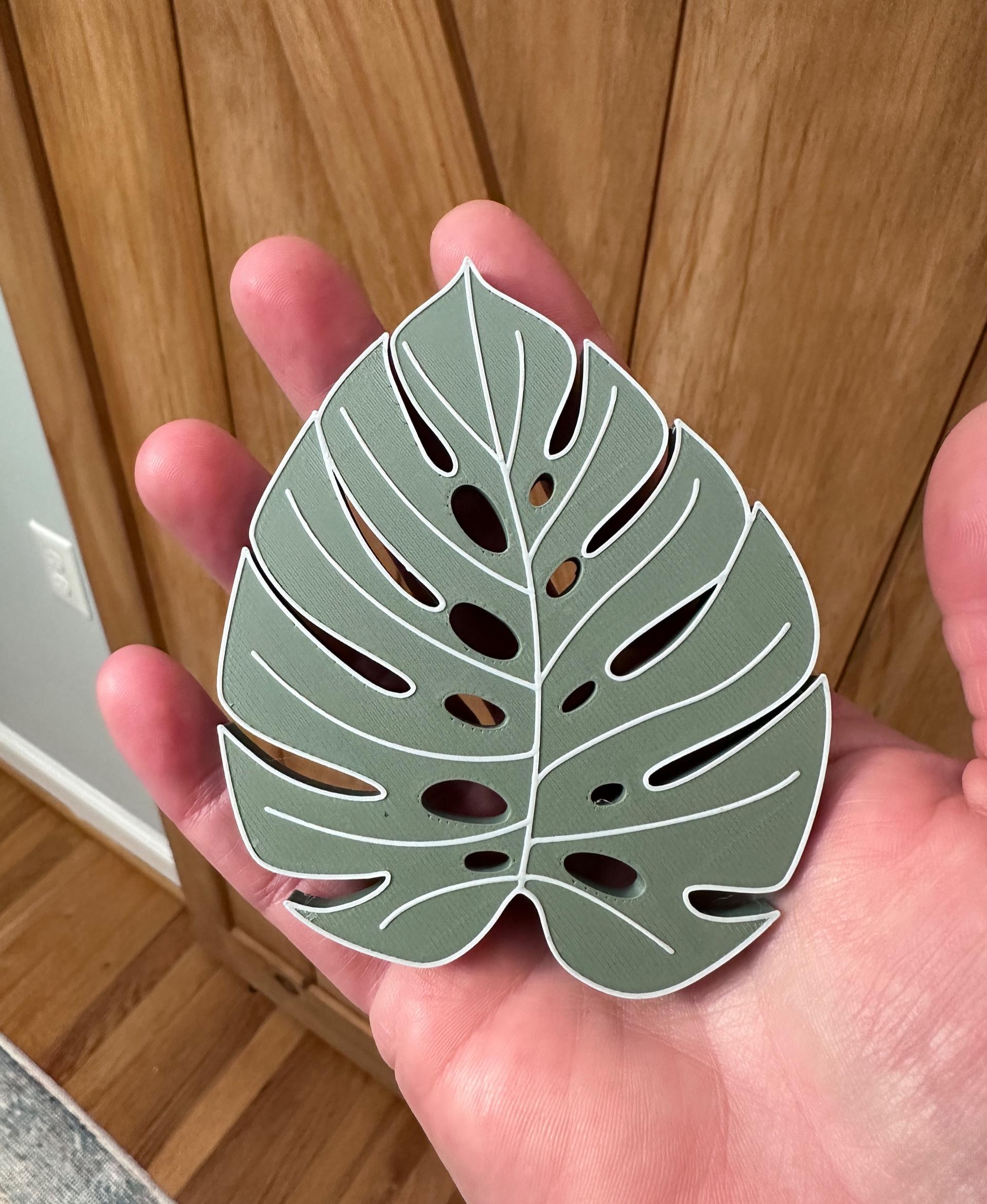 Monstera Leaf Magnet - Super fun to make these, especially with different filaments. - 3d model
