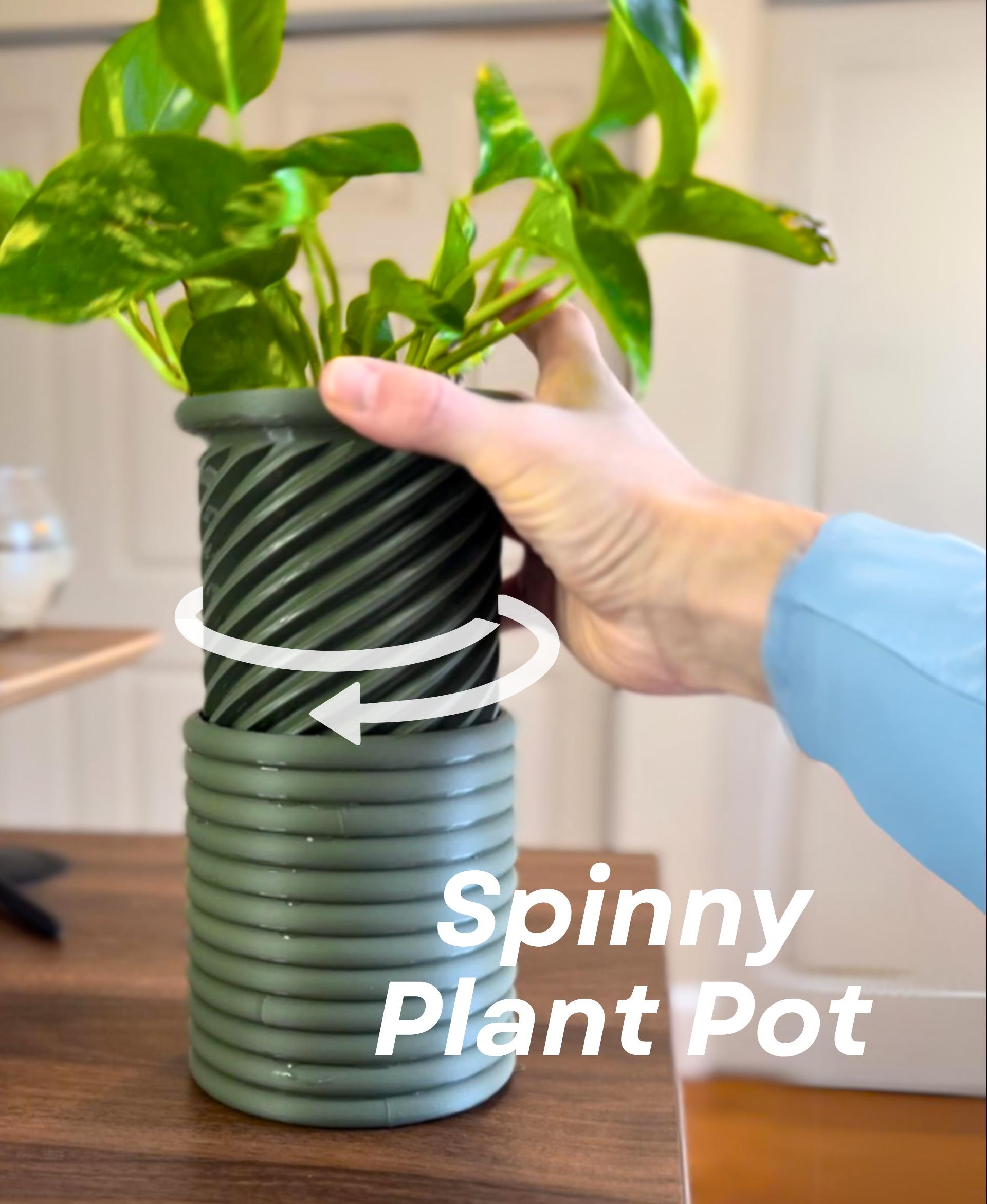 Spinny Plant Pot 3d model