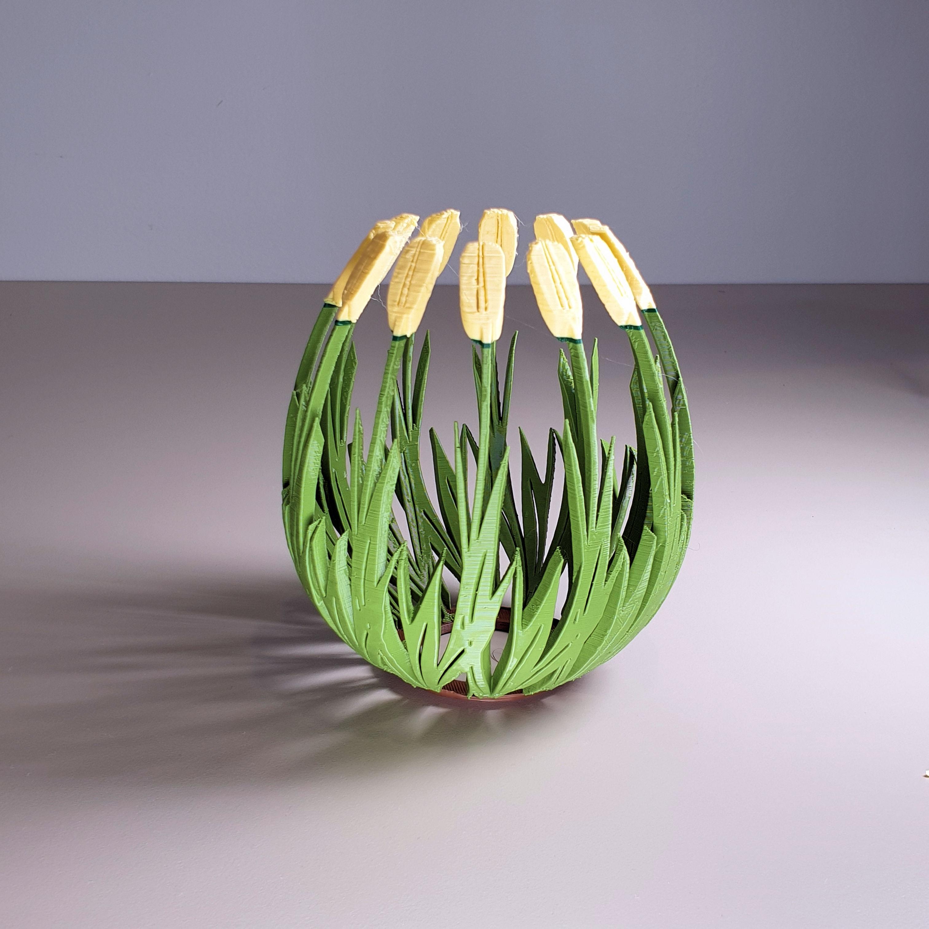 Tulip Egg 3d model