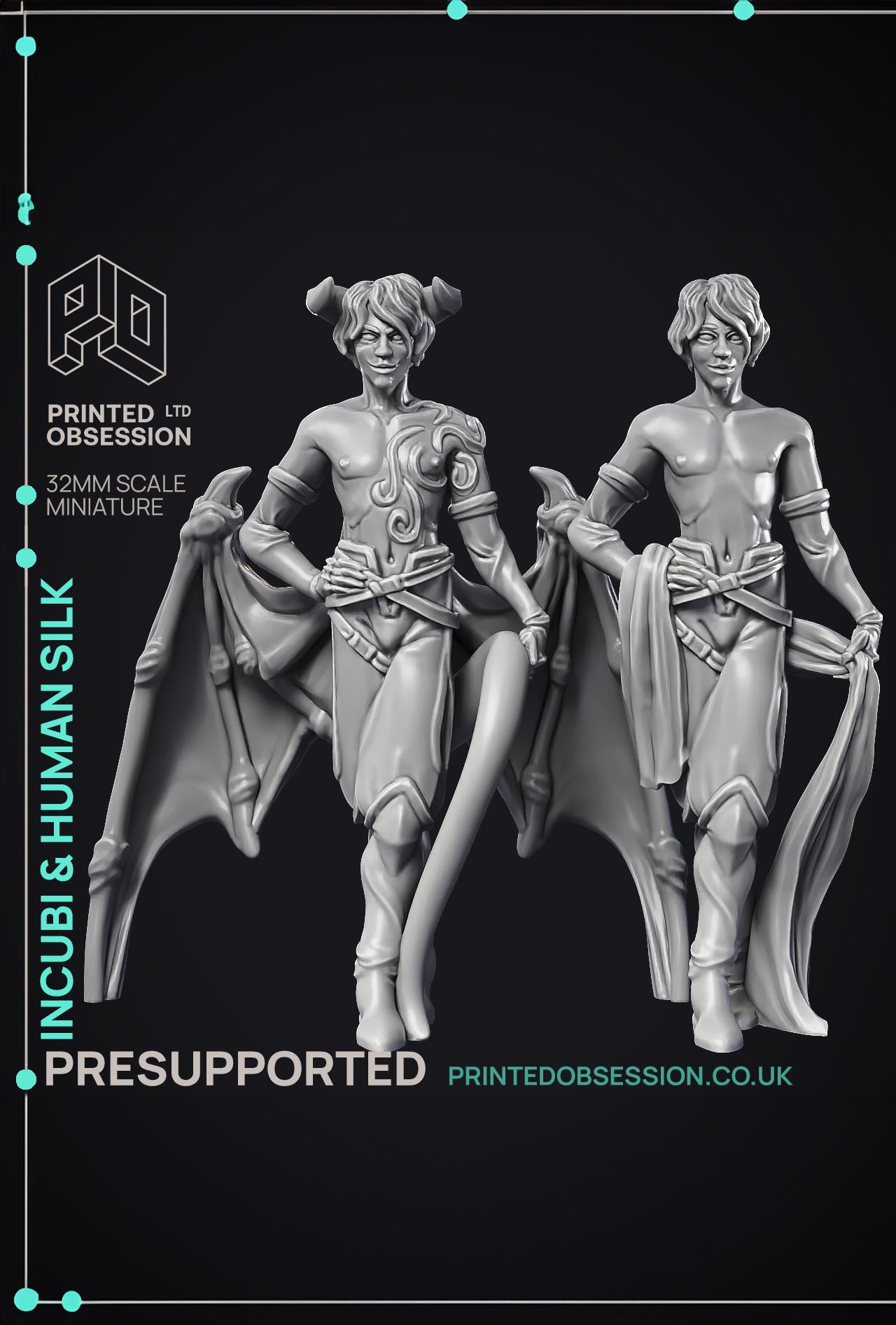 Incubi & human 'silk' - lesser demon - PRESUPPORTED - Hell Hath No Fury - 32mm scale  3d model