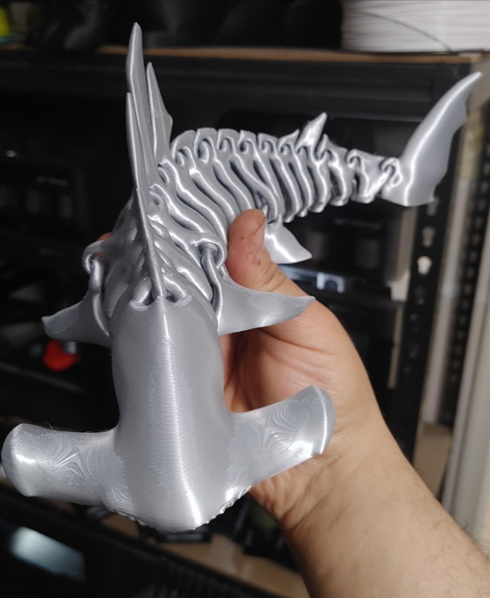 Hammerhead  Shark  Bones 3d model