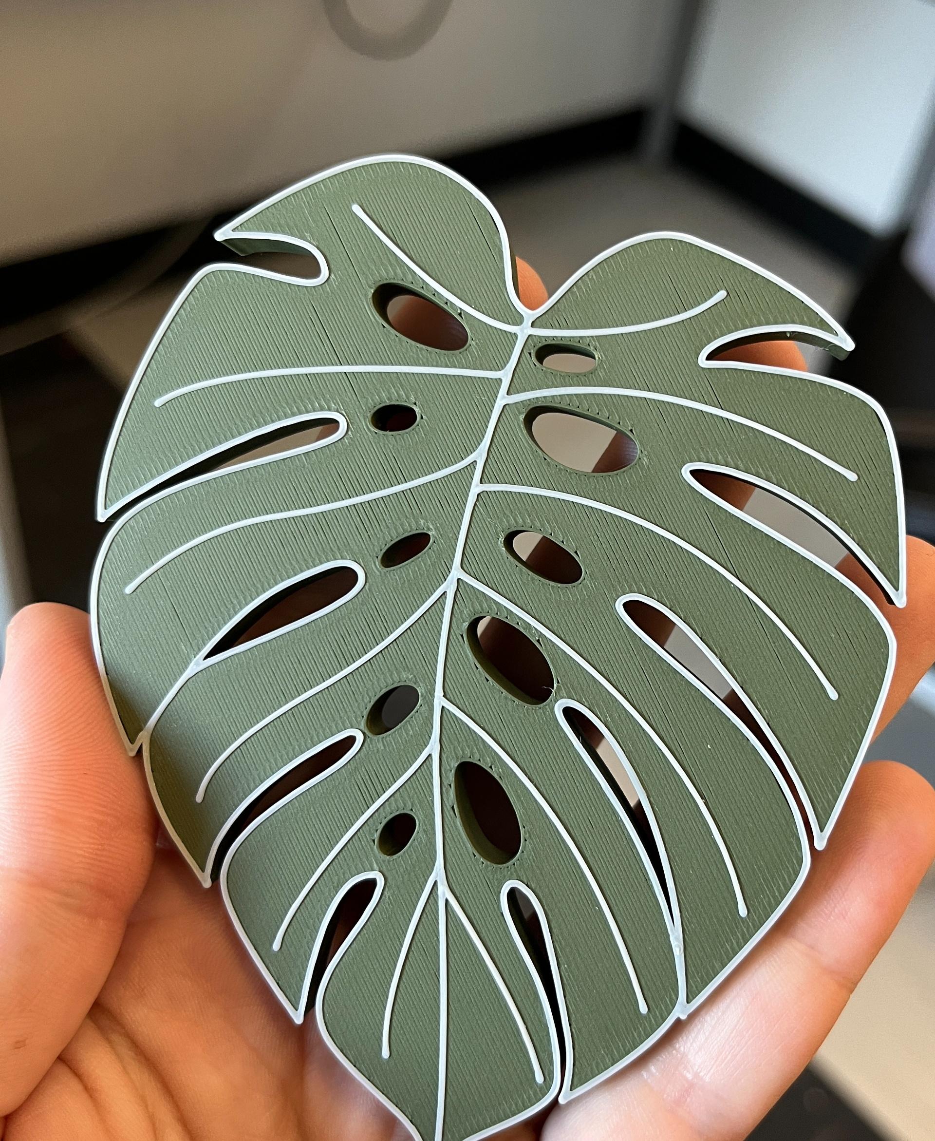 Monstera Leaf Magnet - Cute! Worked perfectly on my Bambu X1. I'm still getting used to this matte filament (Hatchbox) so the top layer of green isn't as smooth as I'd like. - 3d model
