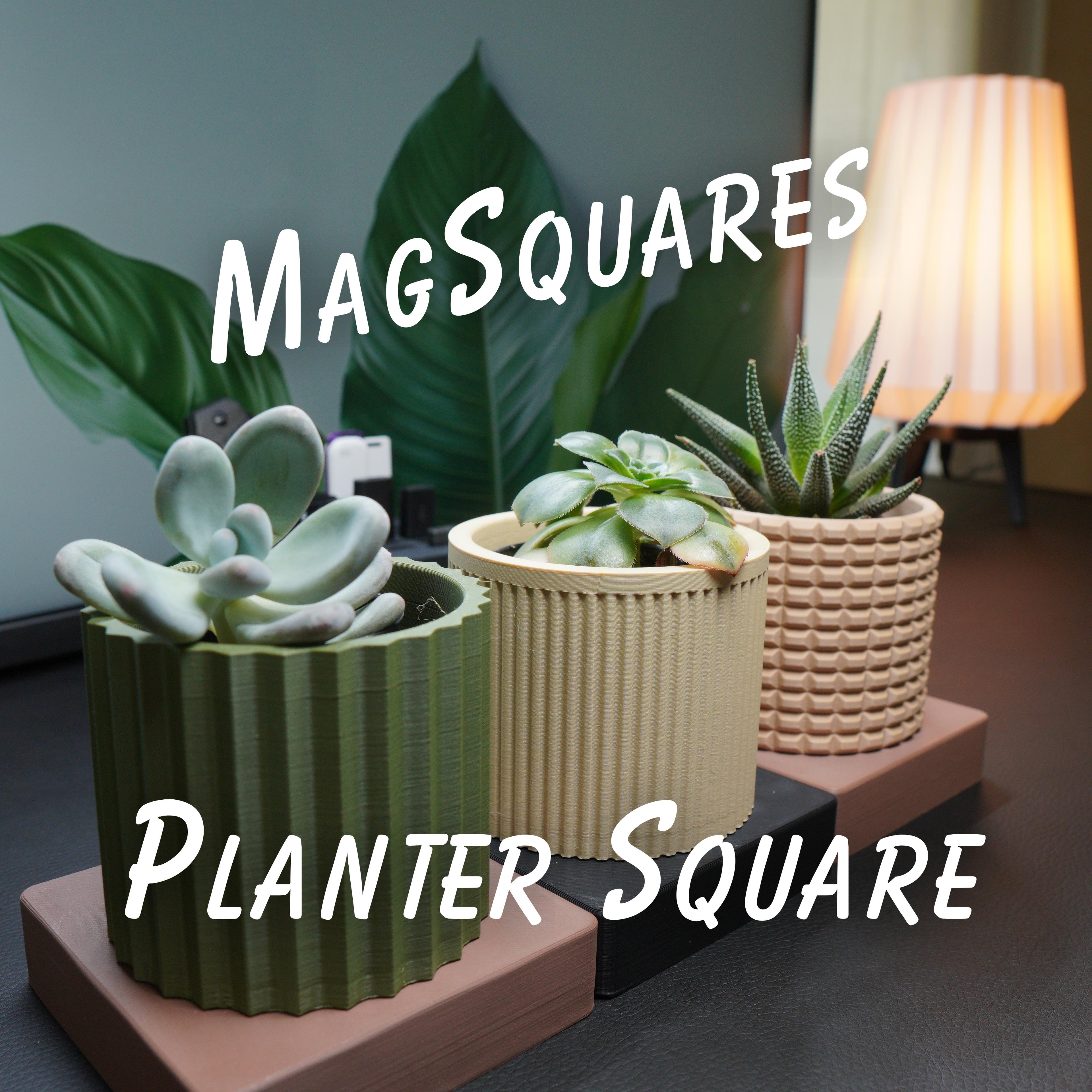 1x1 Planter Square - MagSquares 3d model