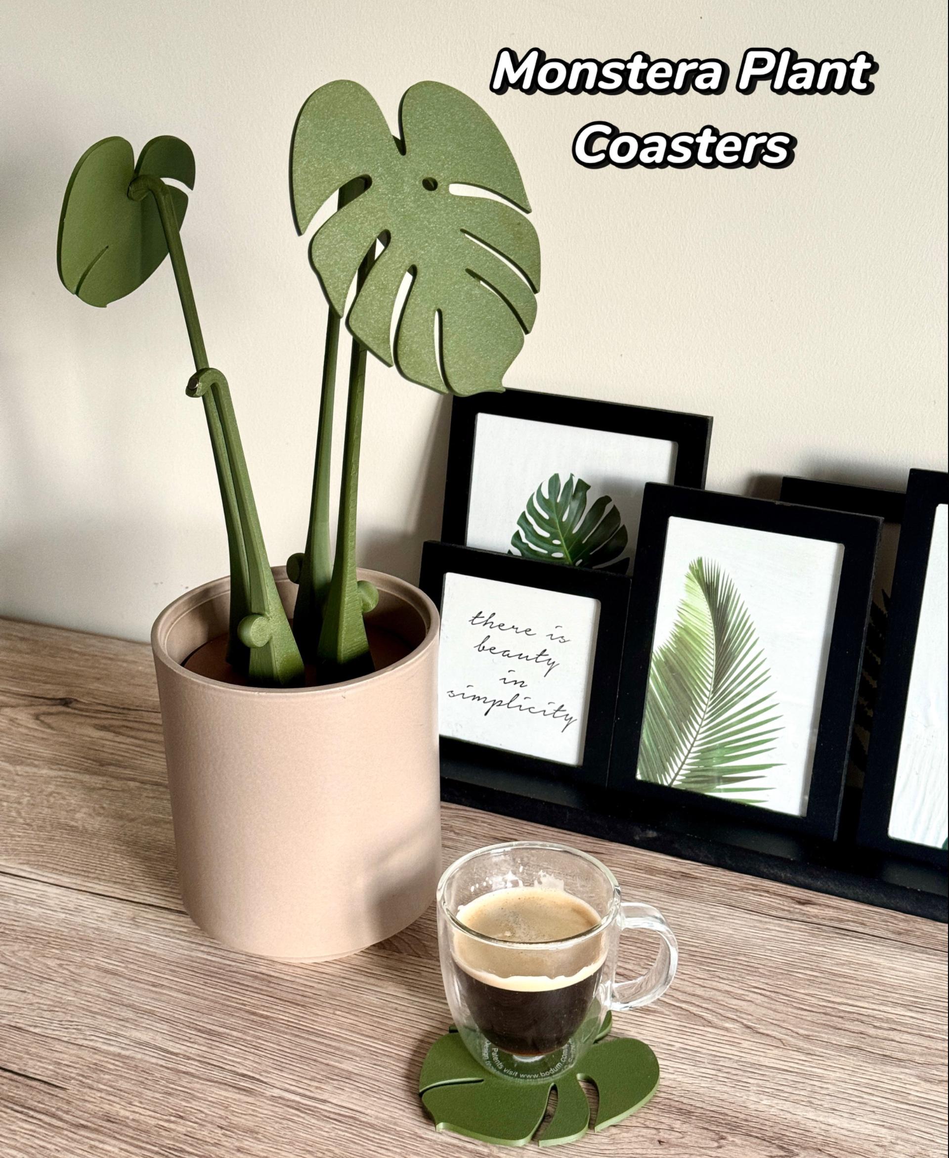 Monstera Coaster Set - Monstera plant coasters ! - 3d model