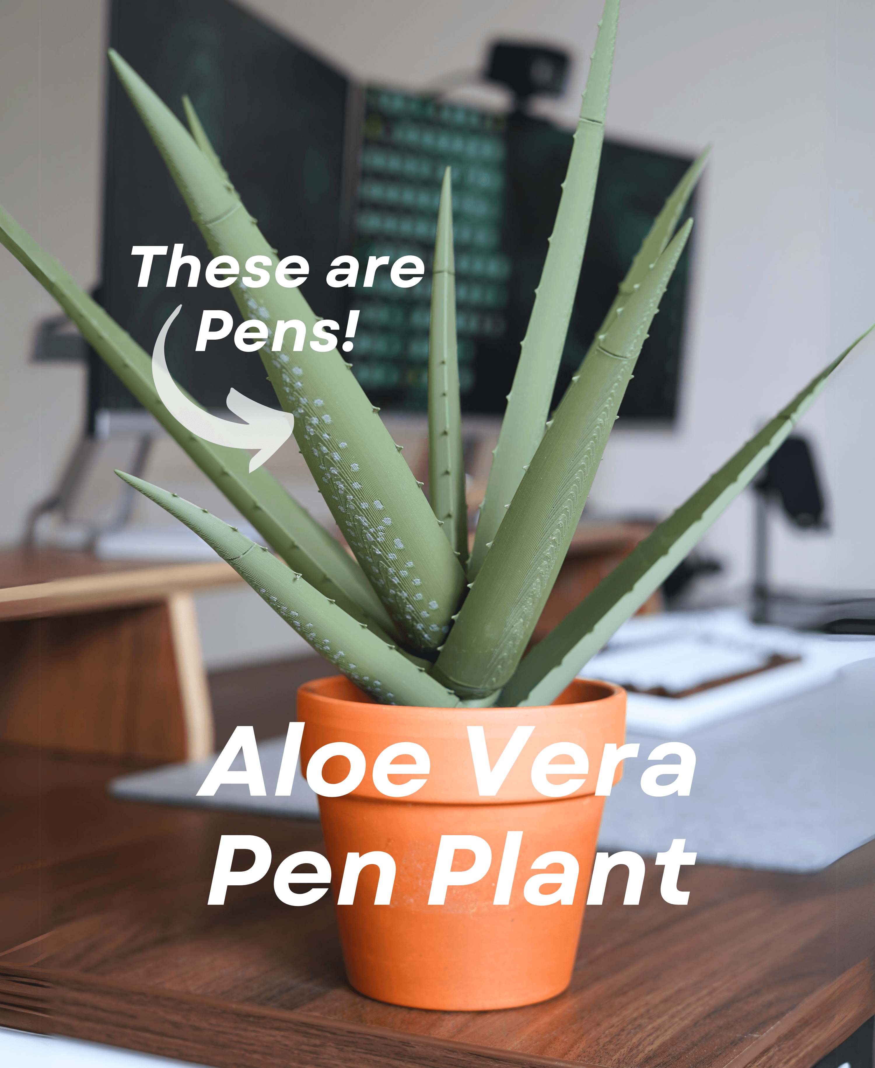 Aloe Vera Pen Plant 3d model