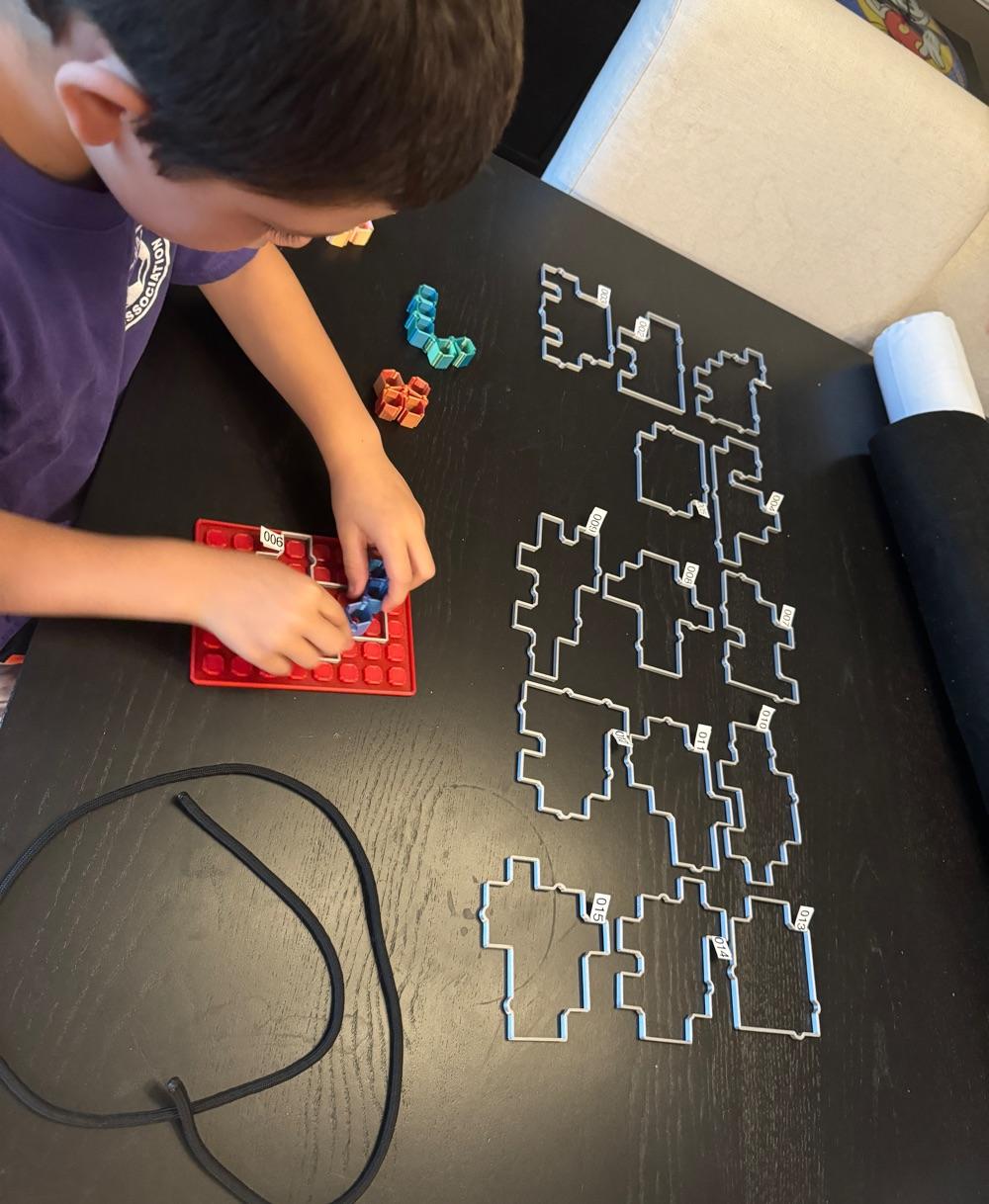 SKEWBITS Puzzle Game for 3D Printing - My son finally doesn’t ask for a screen. Instead he asks to play the puzzle game. He’s through 6 so far  - 3d model