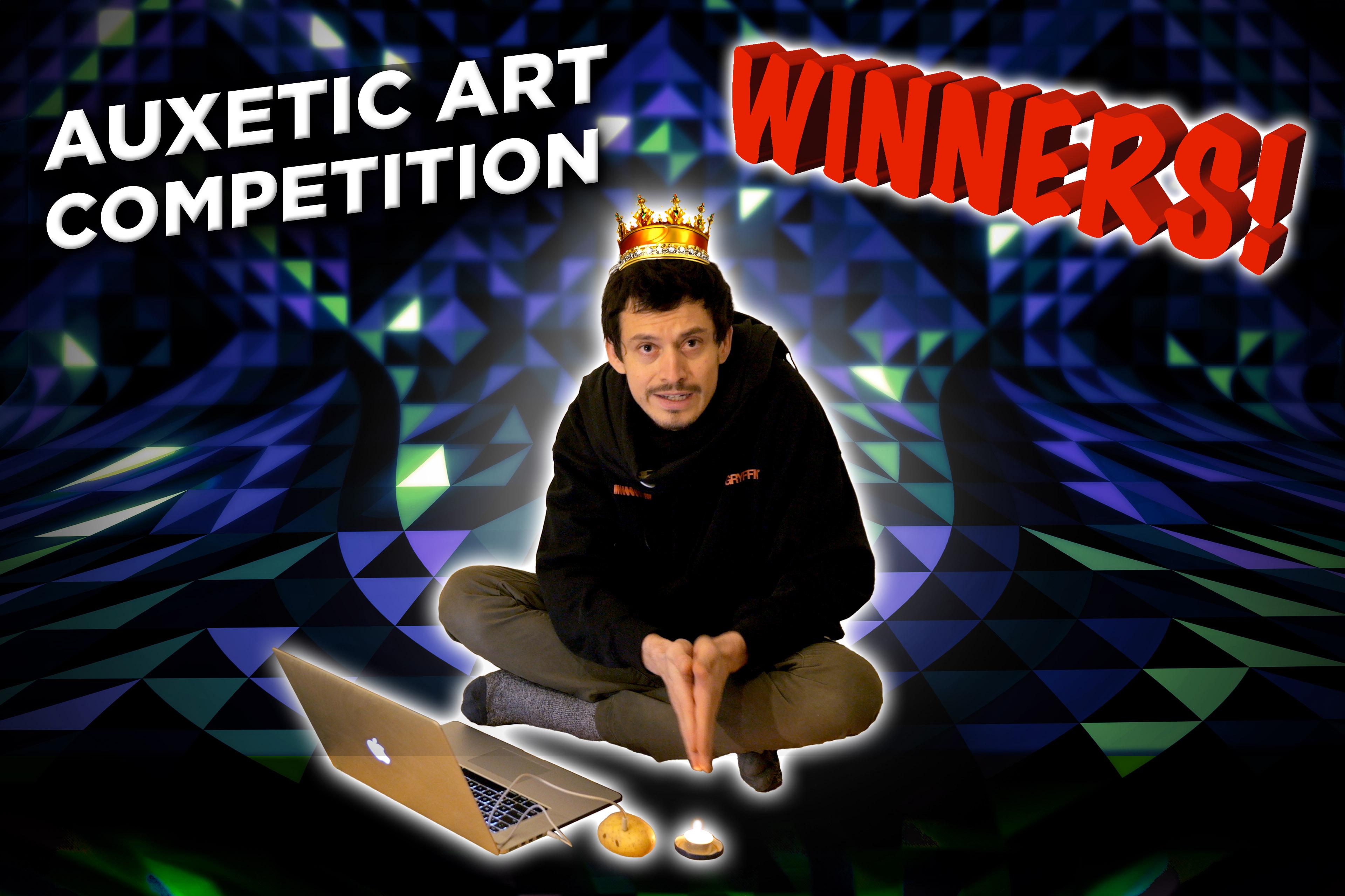 Auxetic Art Competition Results!