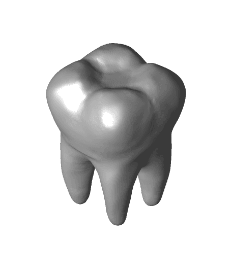 Missing Tooth 3d model