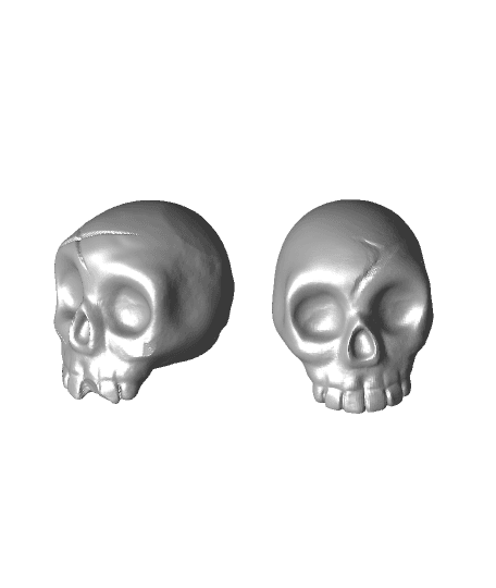 Skull 3d model