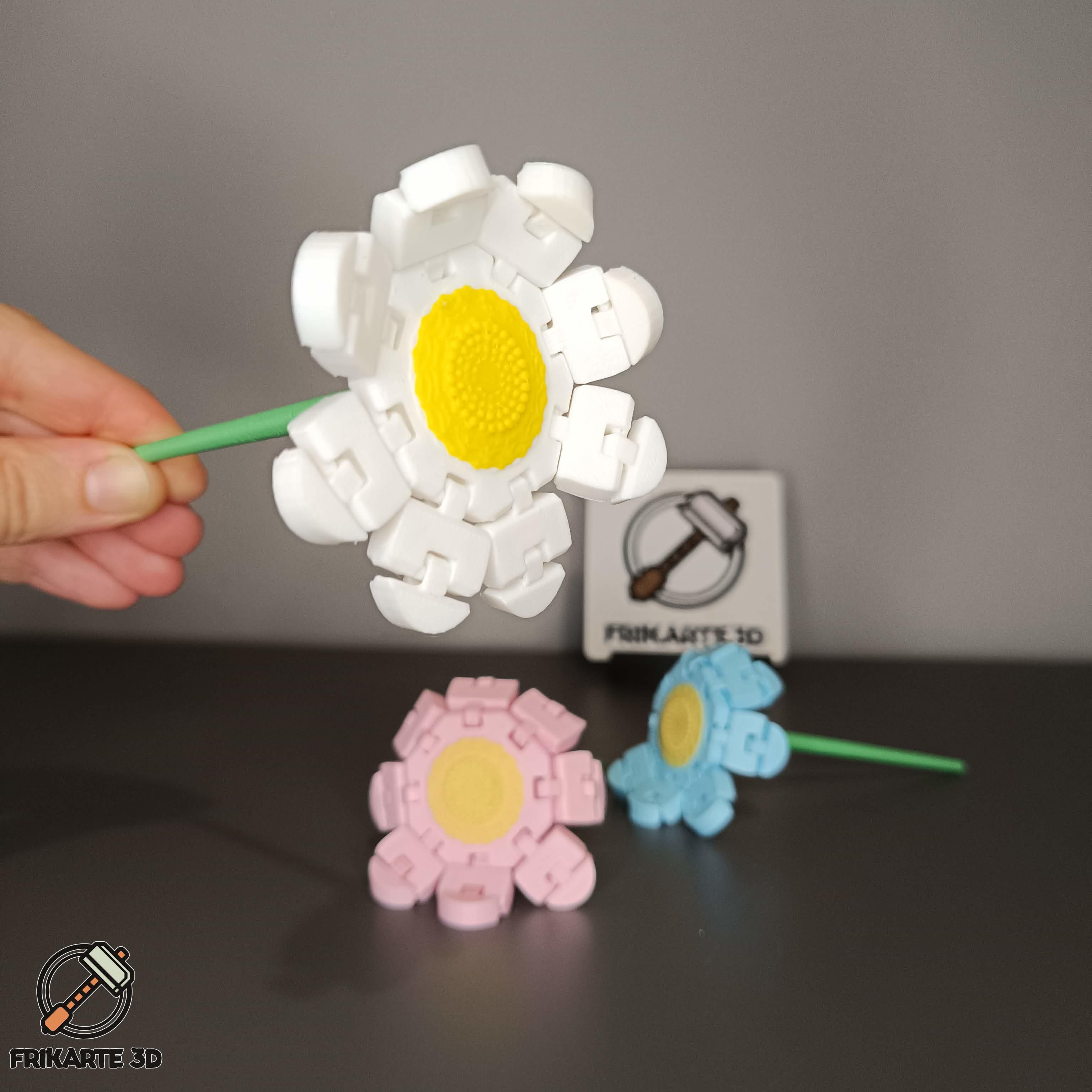 Flexi Daisy Flower 3d model