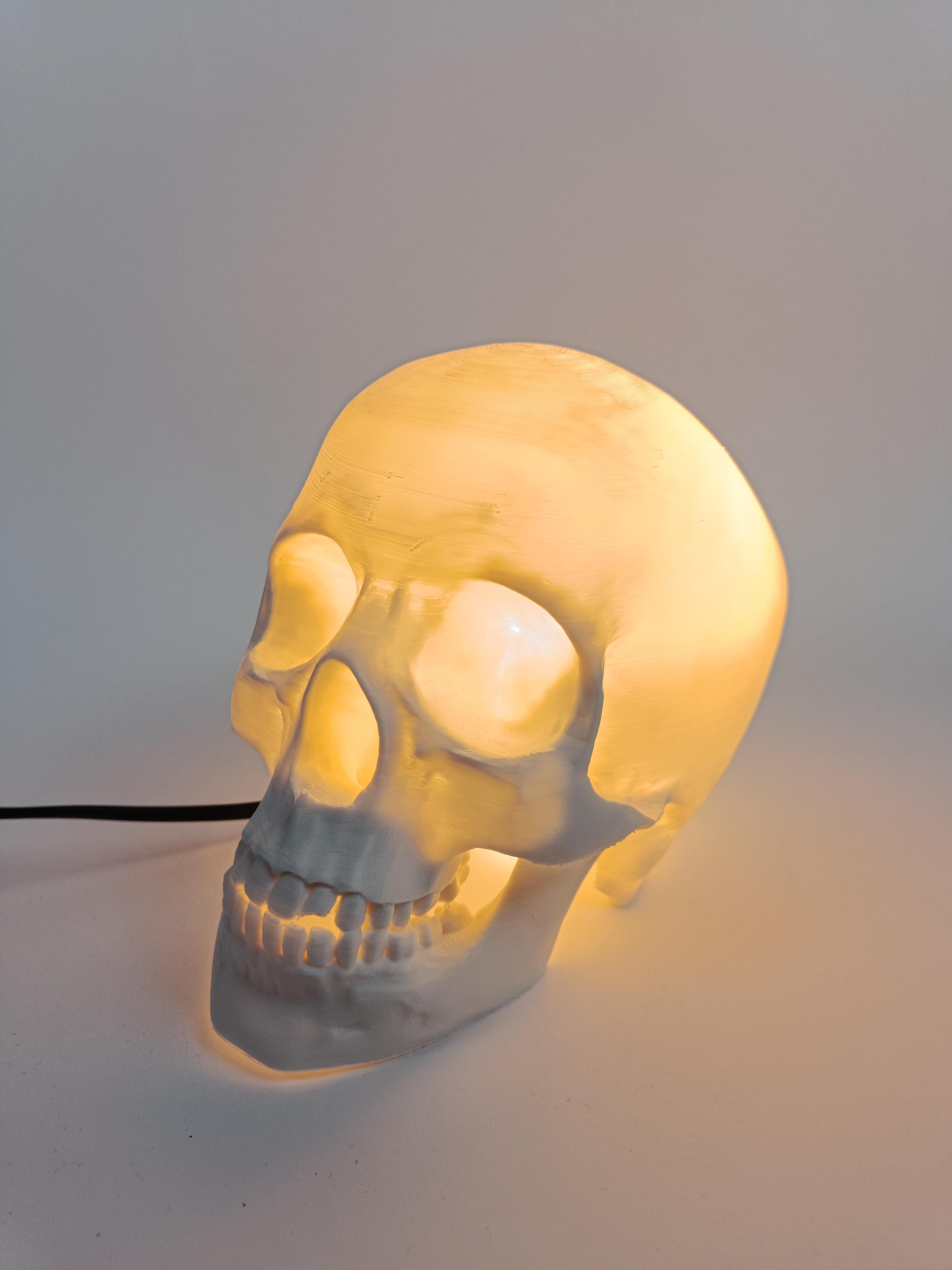 Skull Lamp 3d model