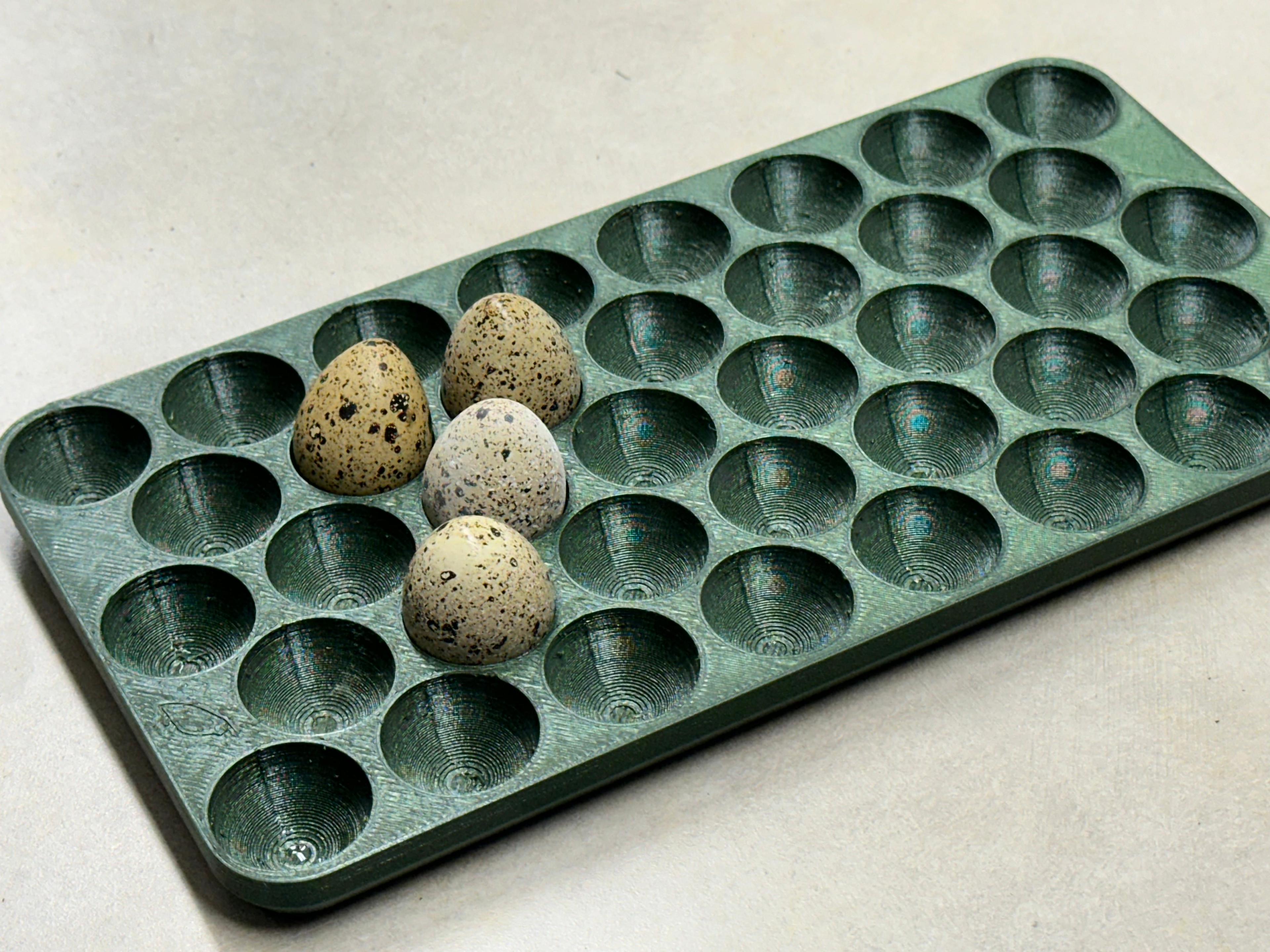 38 Quail Egg Tray 3d model