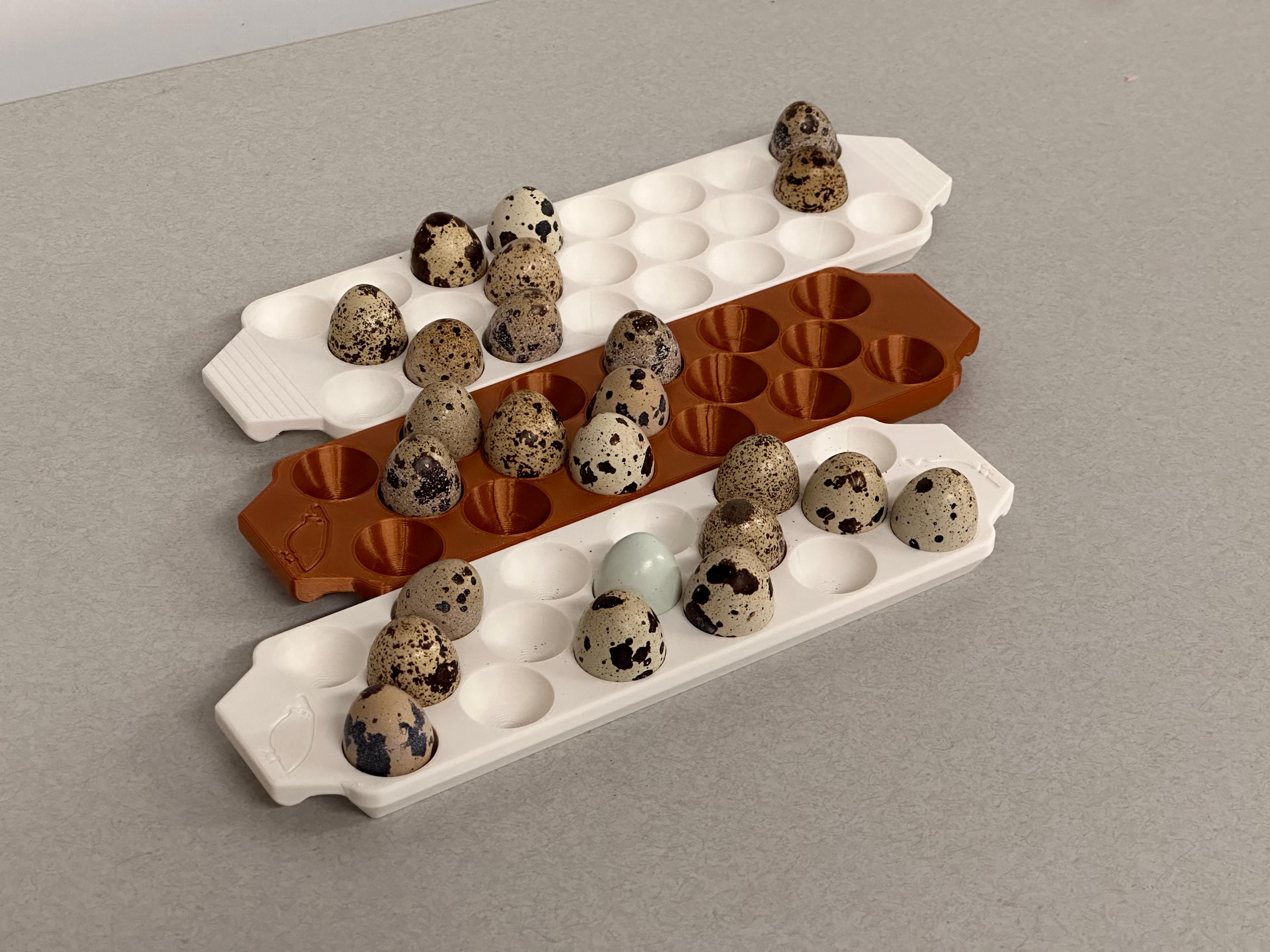 23 Quail Egg Tray with handles 3d model