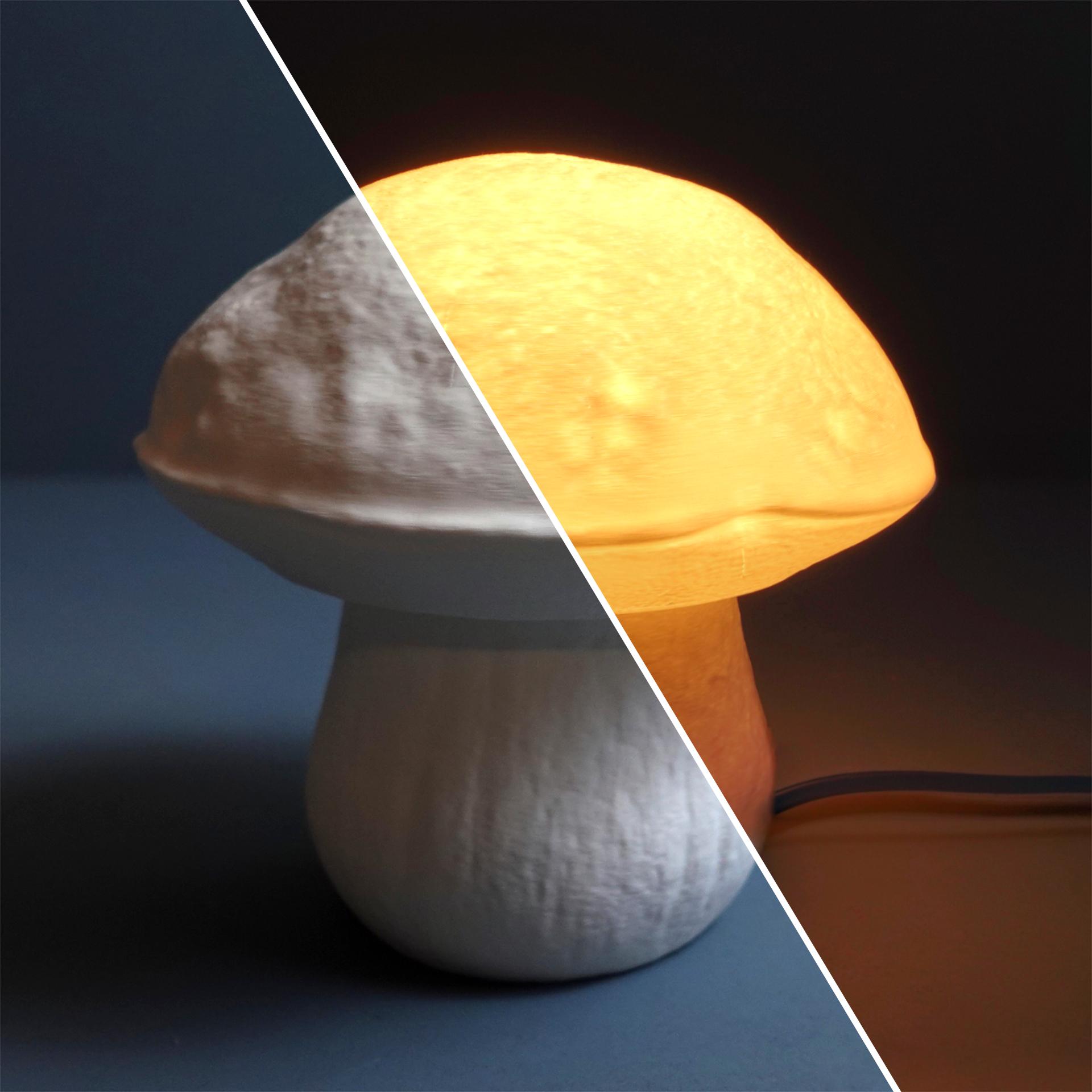 Mushroom lamp “Boletus Edulis” 3d model