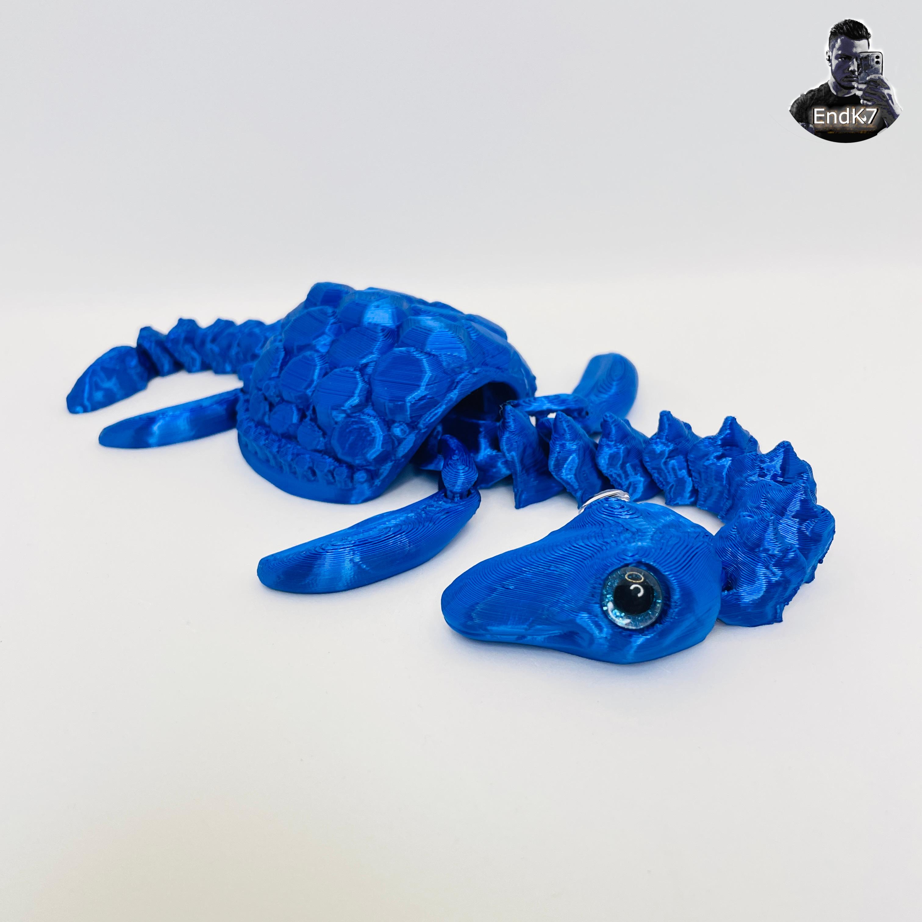 Lucky Plesiosaurus Turtle - Swappable Shell - Articulated - Print in Place - No Supports - Flexi 3d model