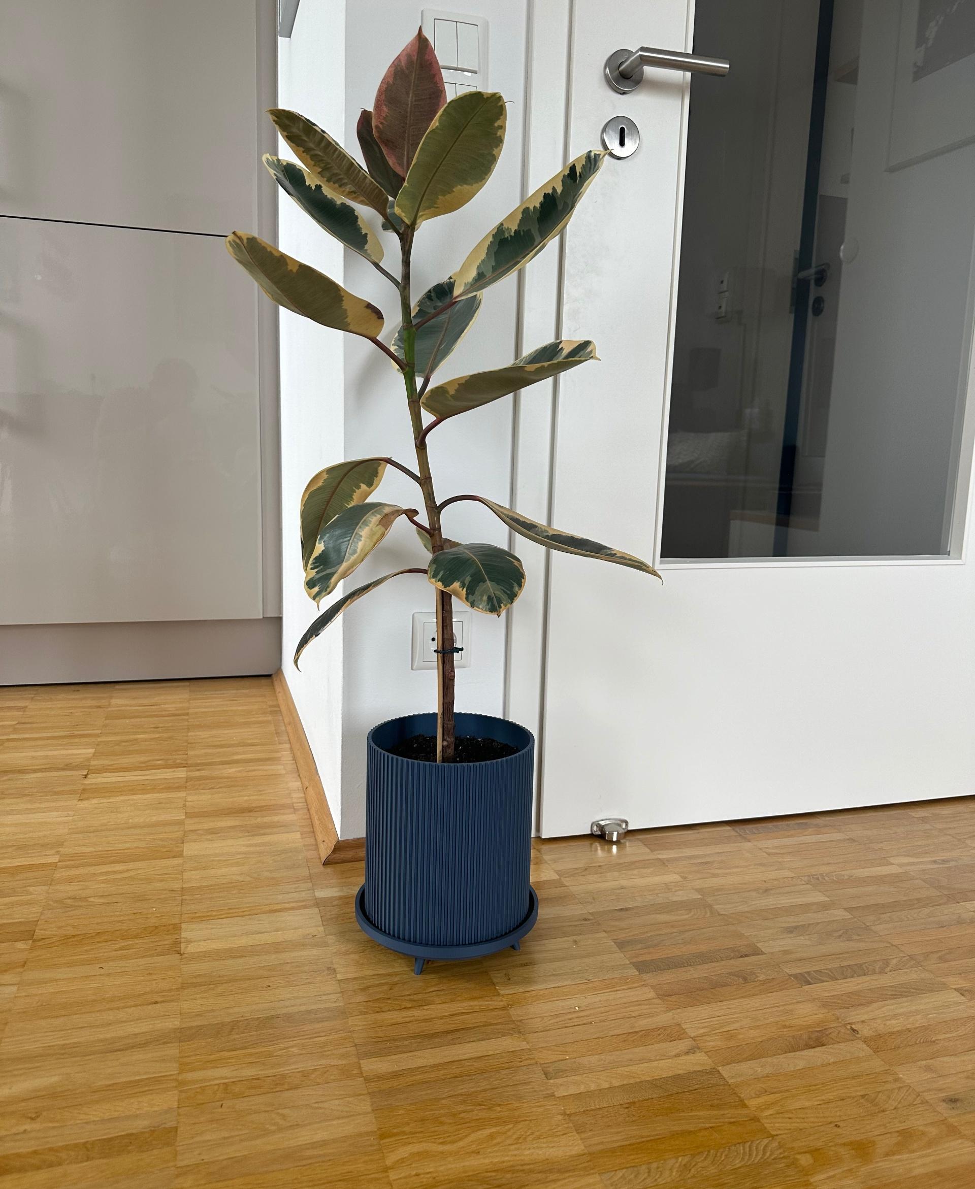 Planter with Legs - The Lloyd 3d model