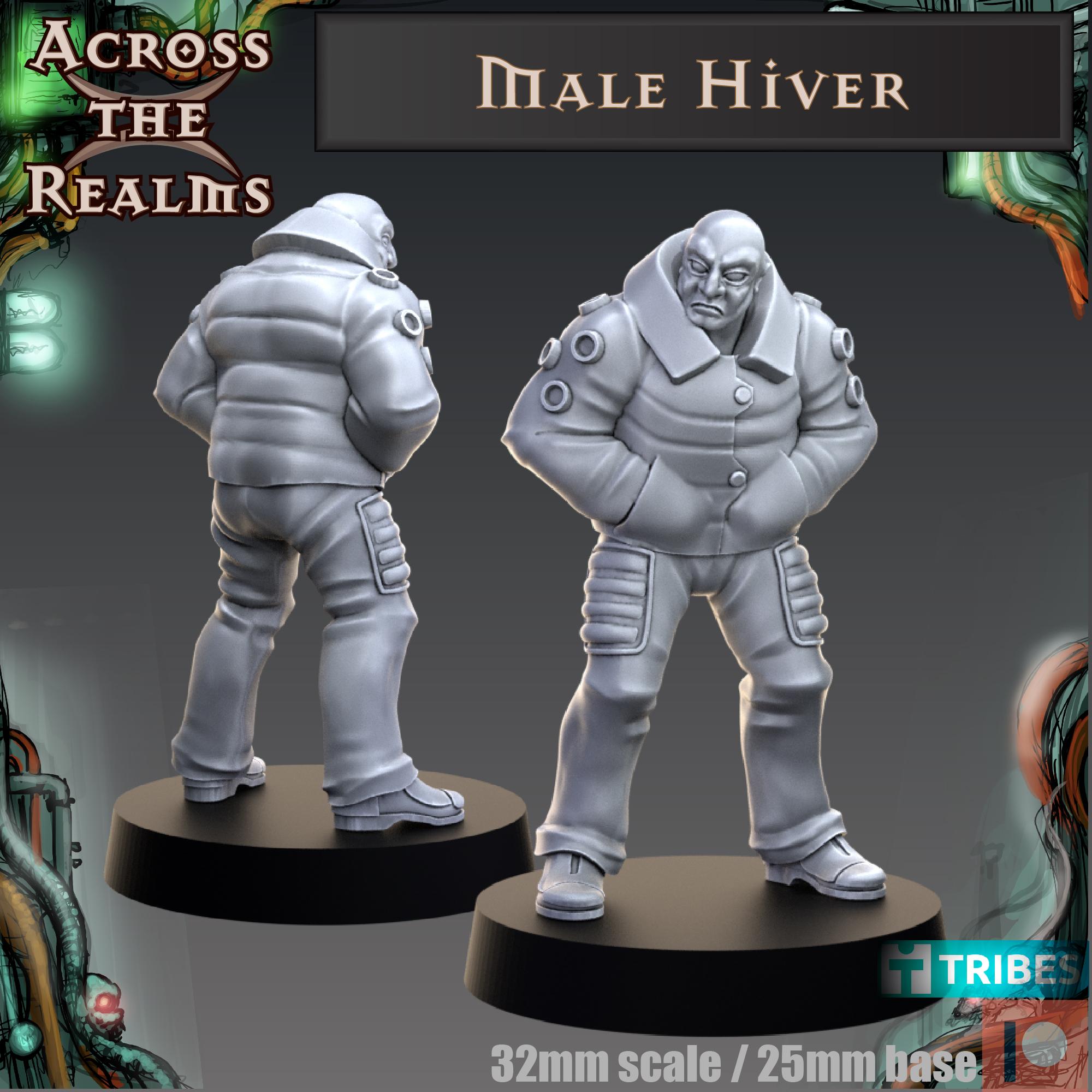 Male Hiver 3d model