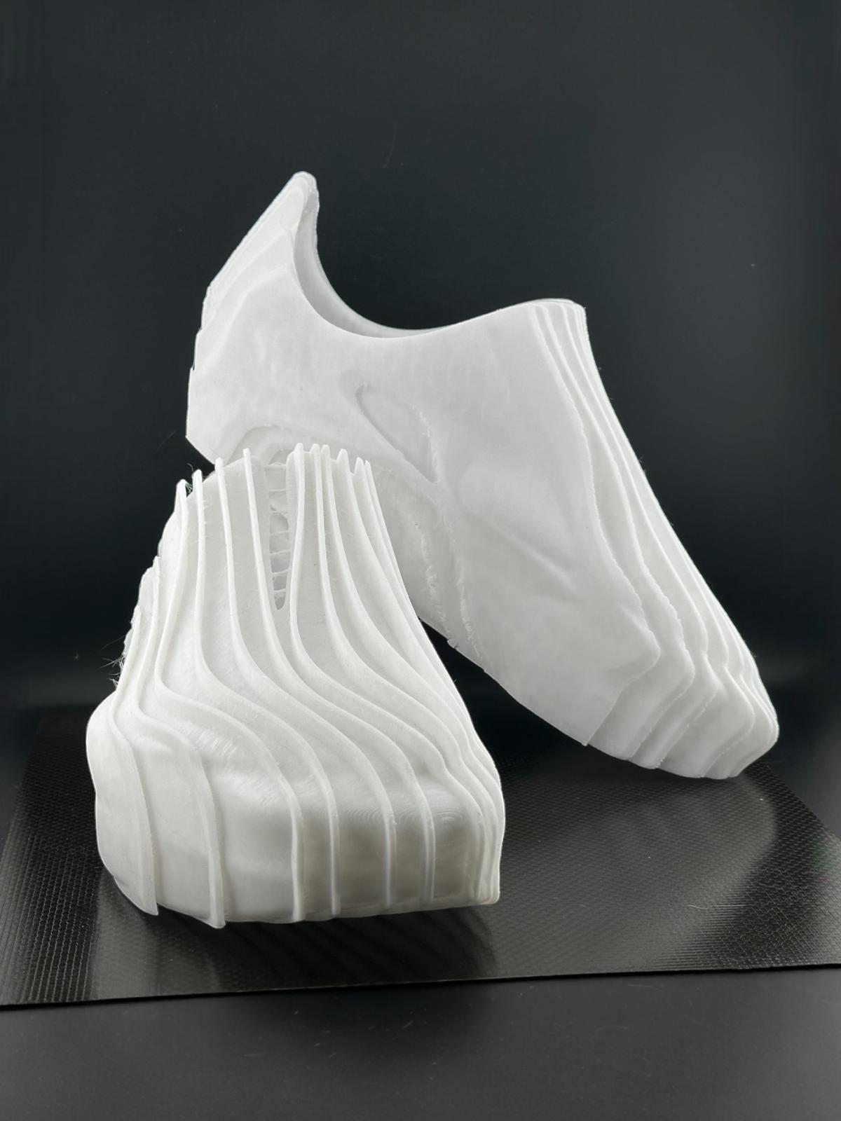Wearable Wavy shoes 3d model